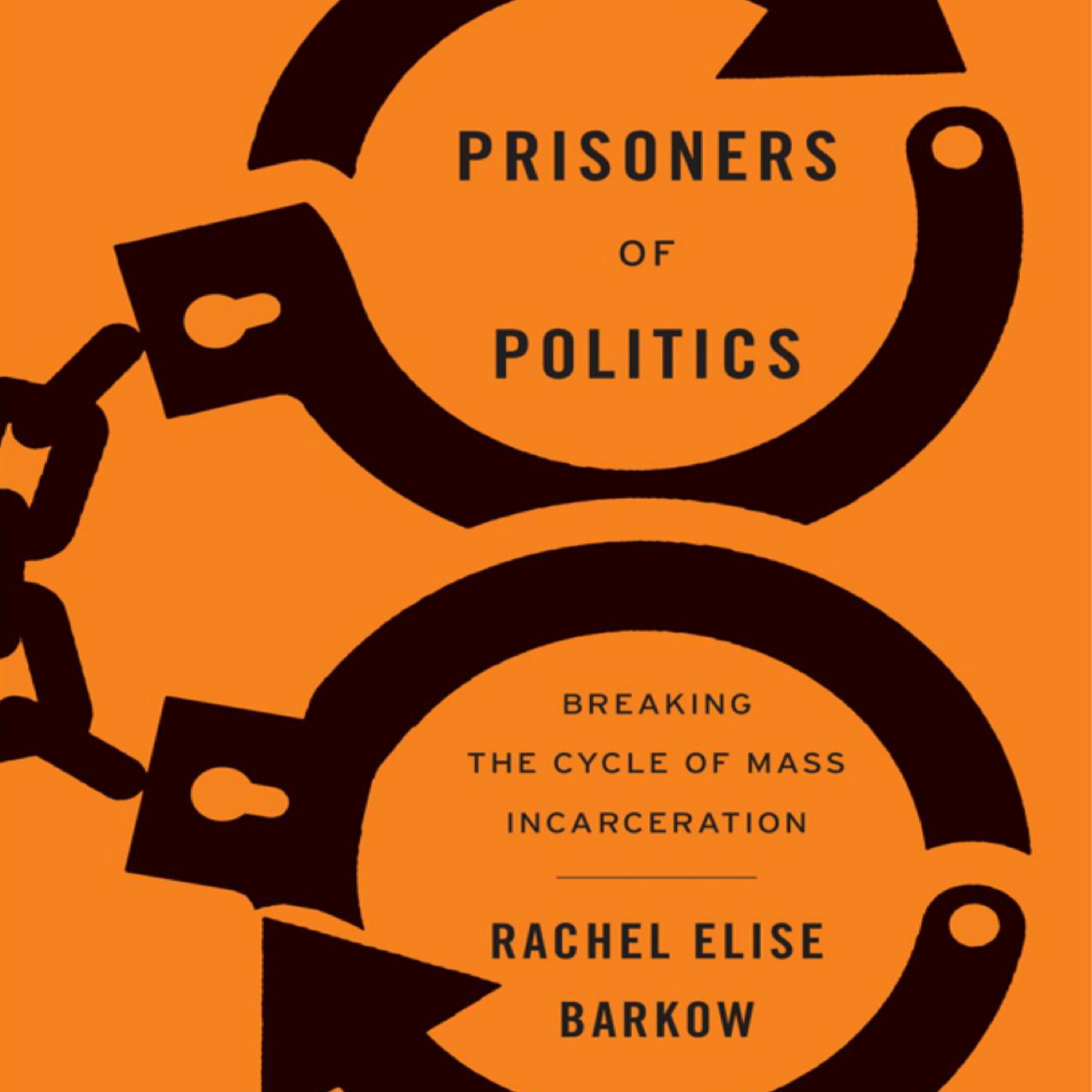 Prisoners of Politics — Why Criminal Justice Ignores Public Safety Data episode artwork