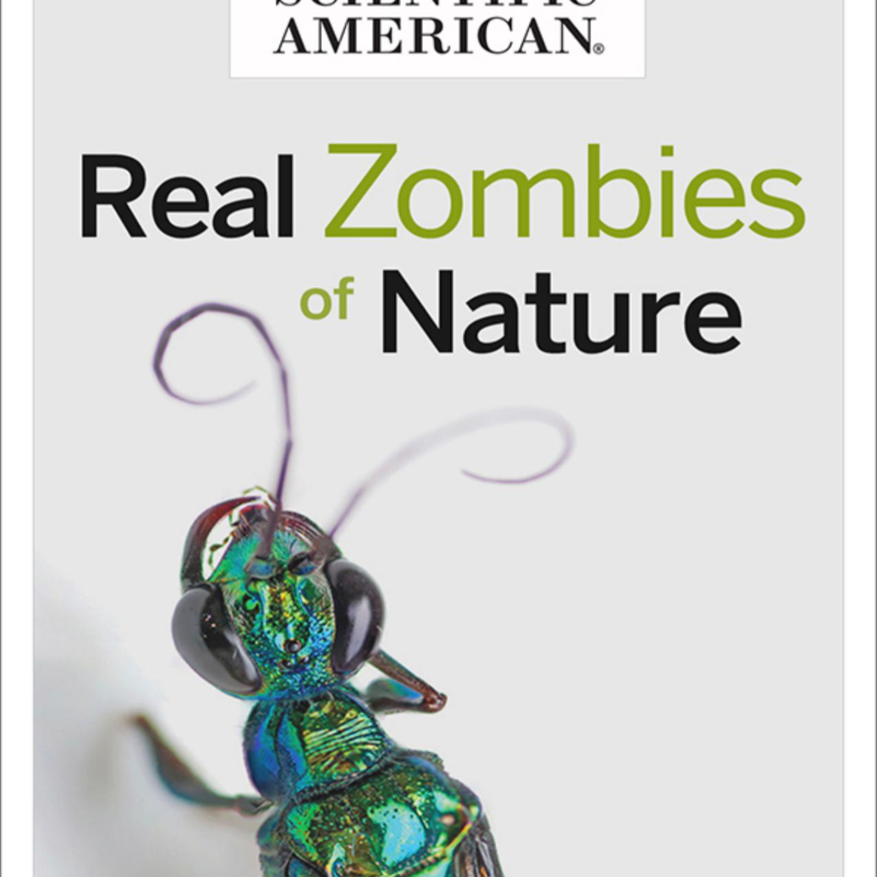 The Real Zombies of Nature — What Happens When Behavior Gets Hijacked episode artwork