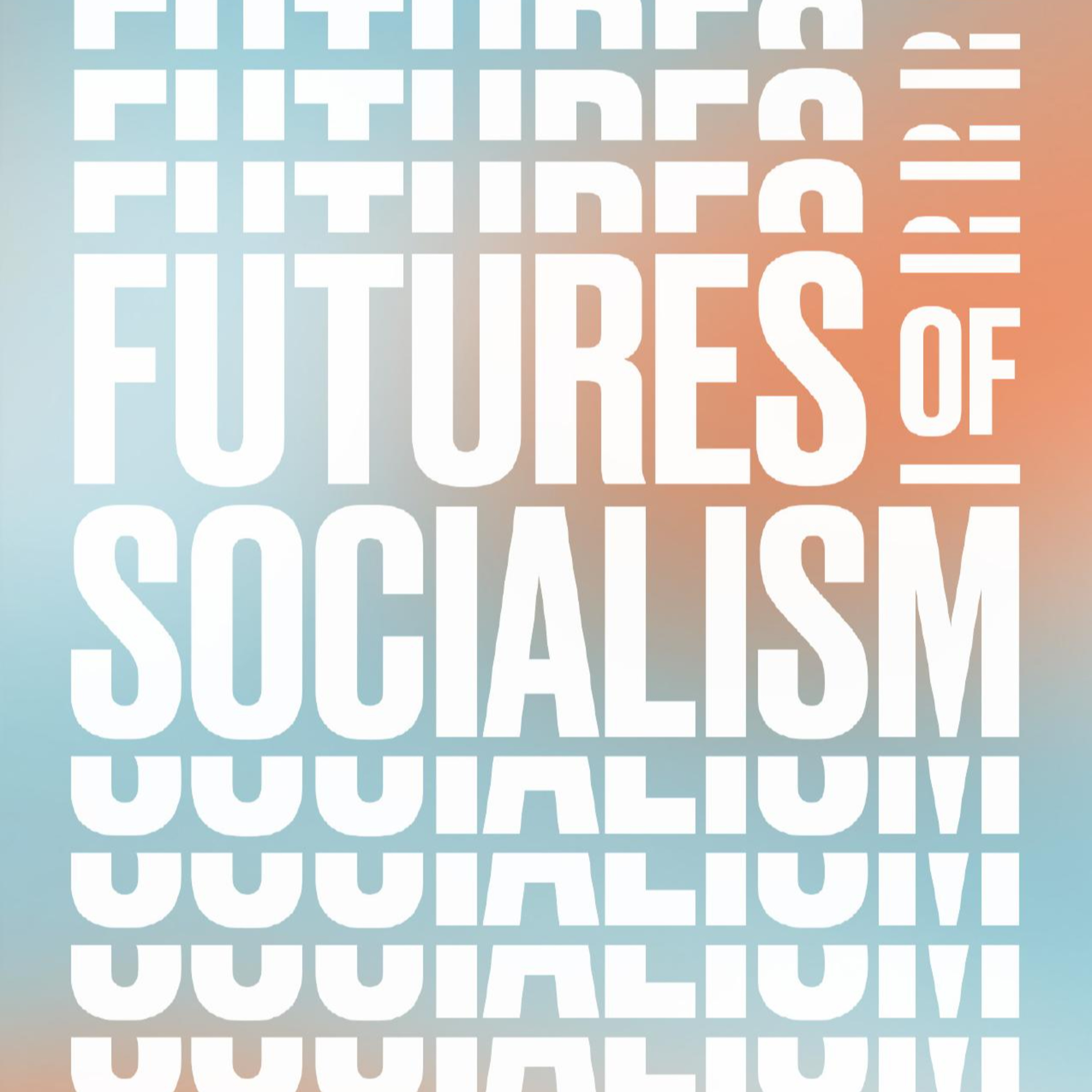Futures of Socialism — Why Elections Fail to Change Economic Power episode artwork