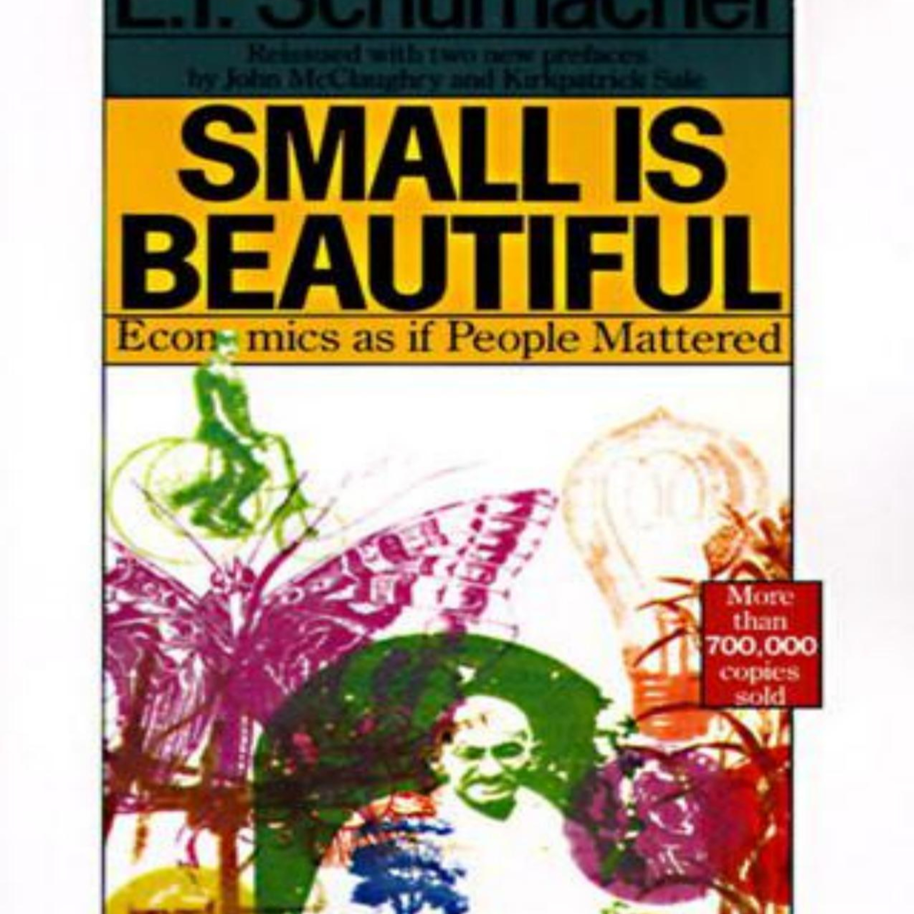 Small Is Beautiful: Economics as if People Mattered — When Growth Liquidates Capital episode artwork