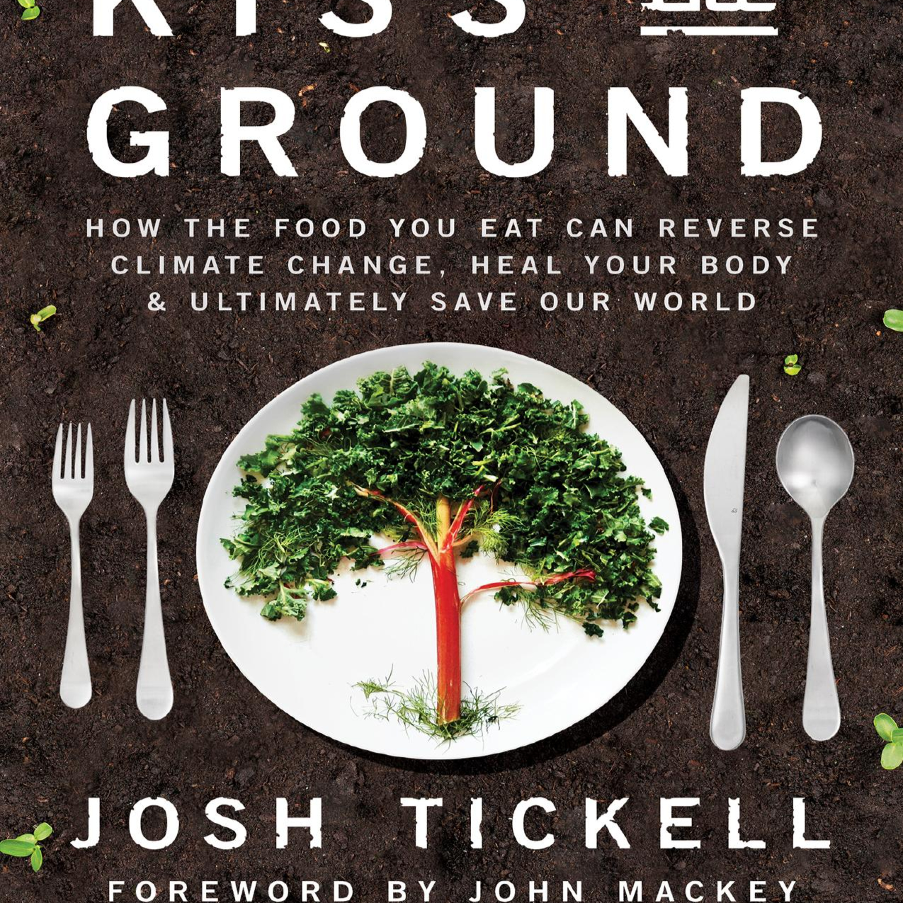 Kiss the Ground — The Incentive System Behind Soil Collapse episode artwork