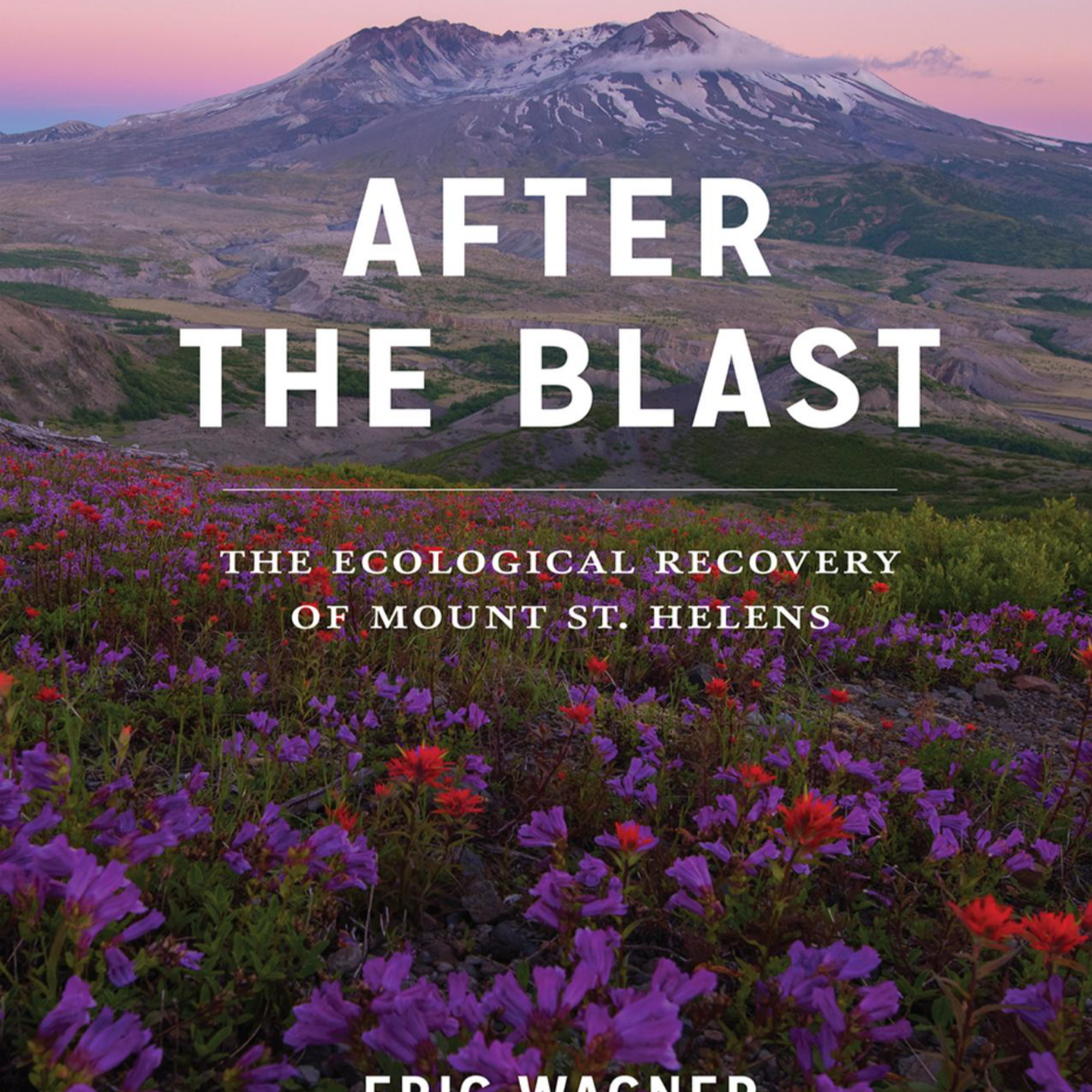 After the Blast: Ecology, Disturbance, and the Myth of Natural Stability episode artwork