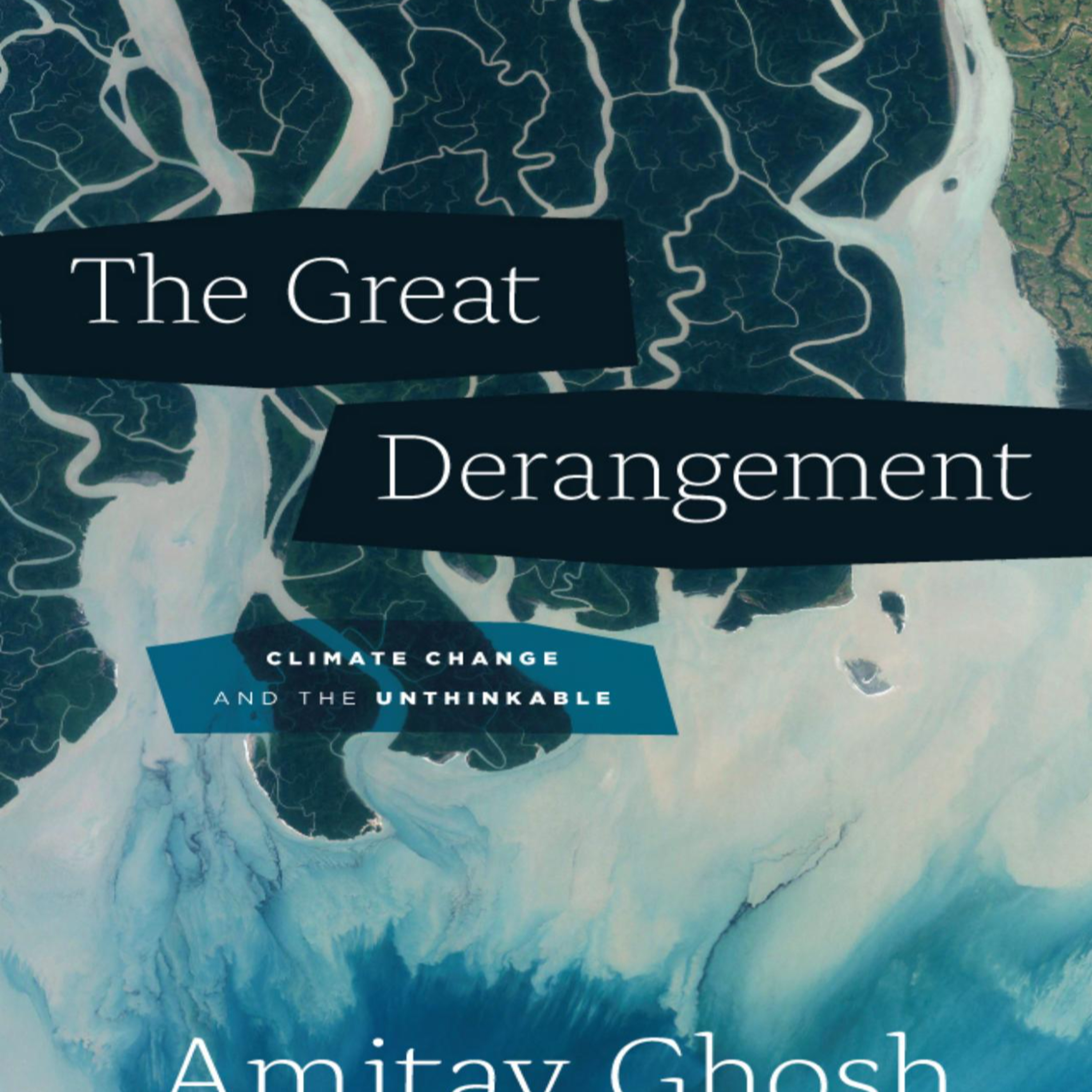 The Great Derangement: Climate Collapse and the Crisis of Imagination episode artwork