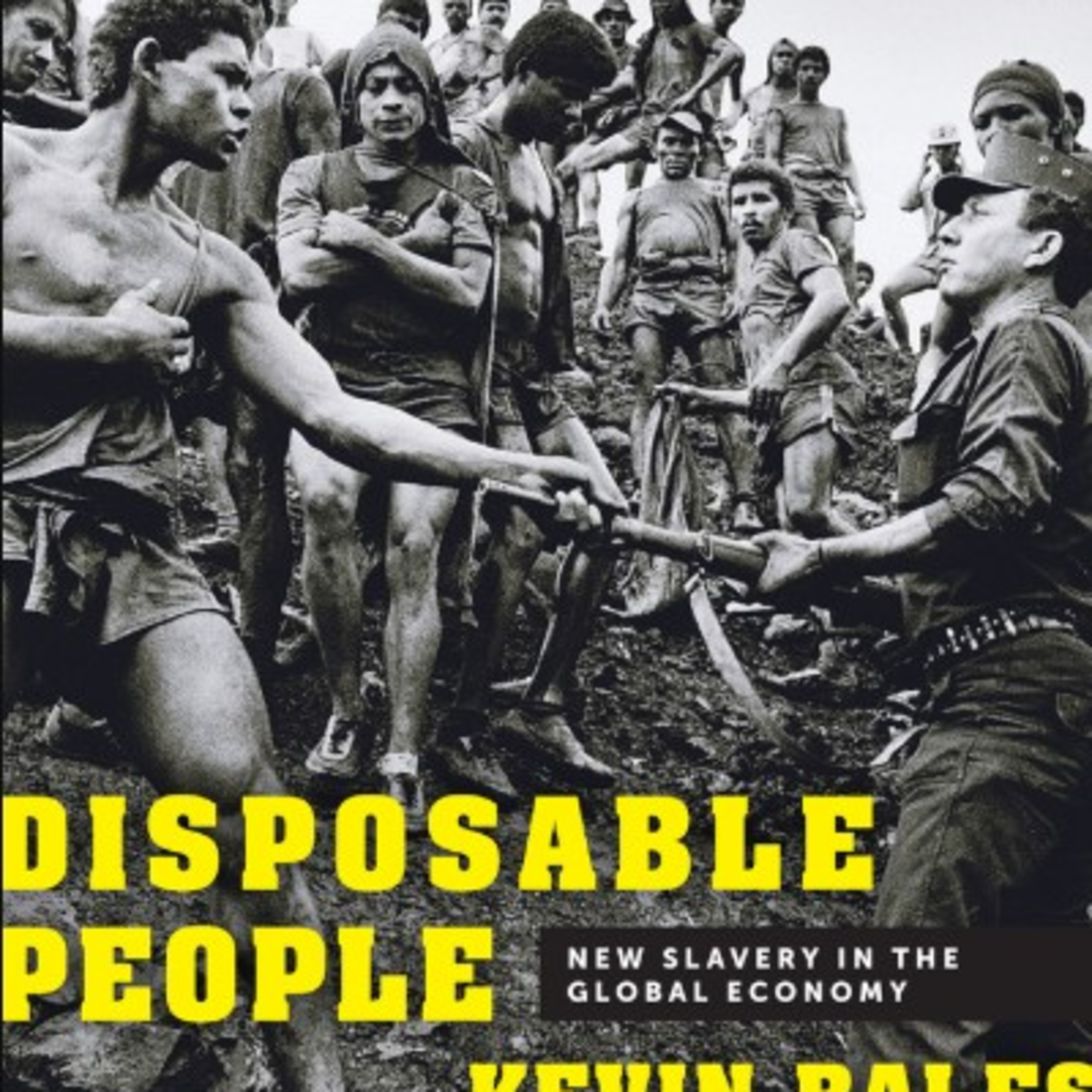 Disposable People: The Global Economy of Modern Slavery — Systems of Disposability episode artwork