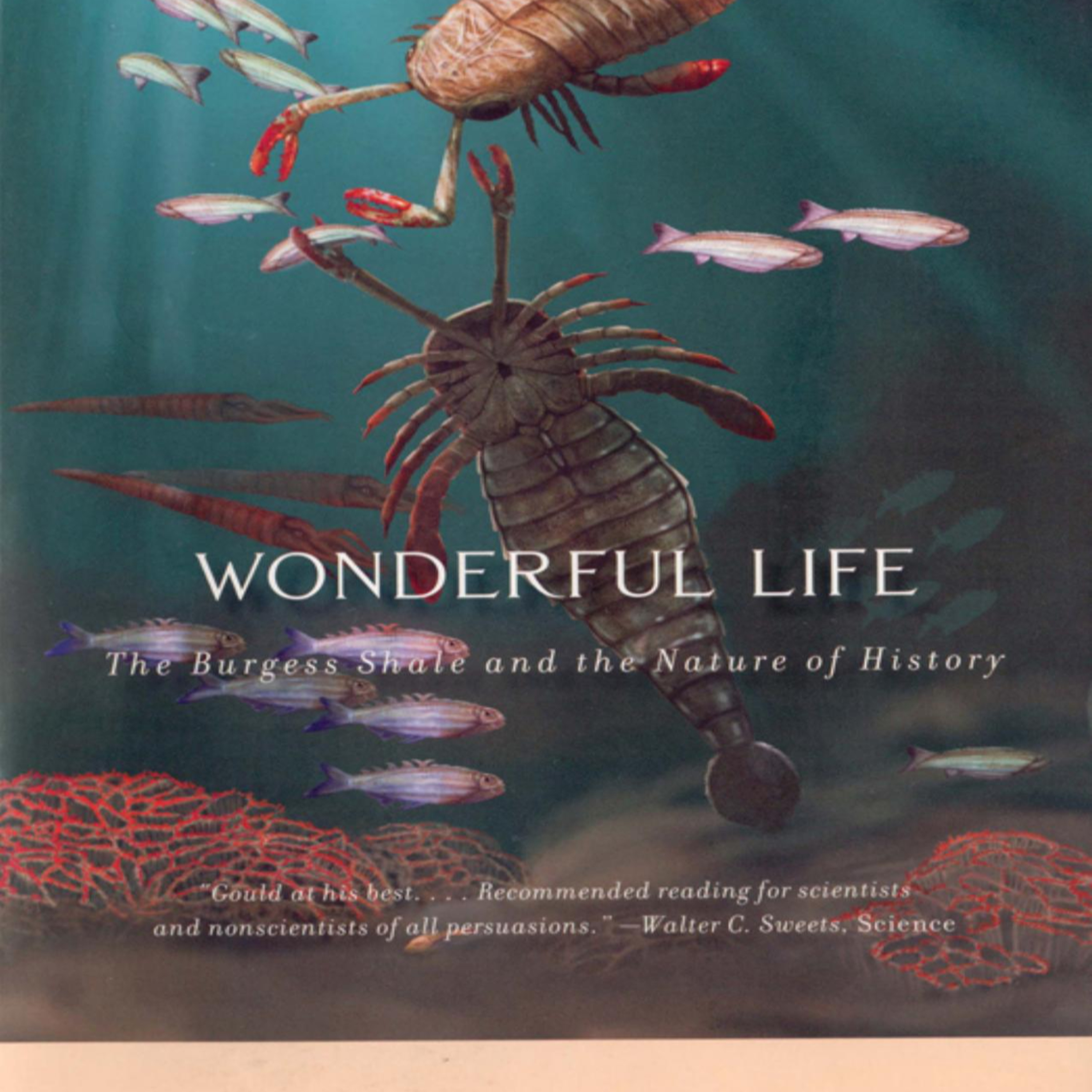 Wonderful Life: Evolution’s Survival Lottery — Systems of Contingency episode artwork