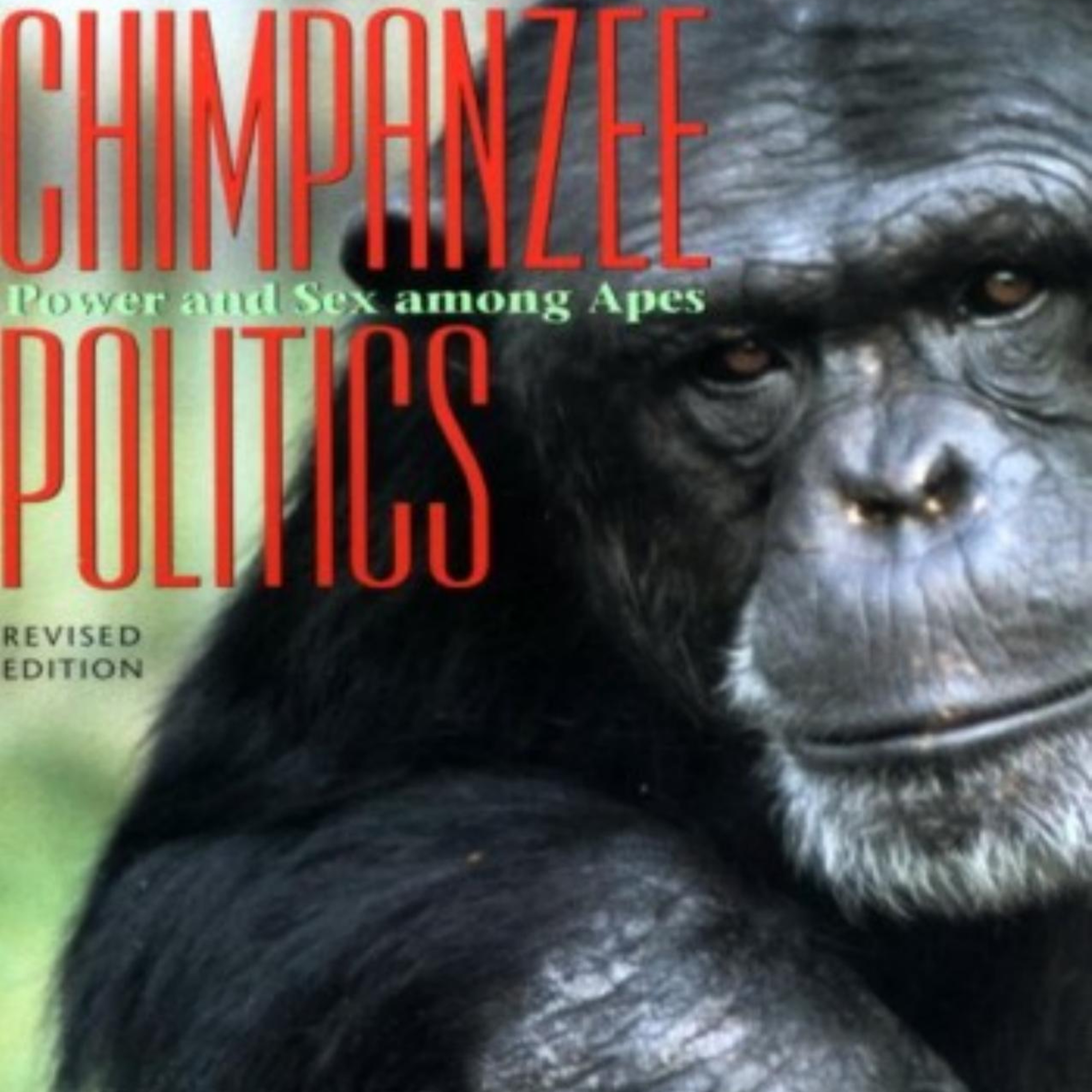 Chimpanzee Politics: The Hidden System Behind Power — Frans de Waal episode artwork