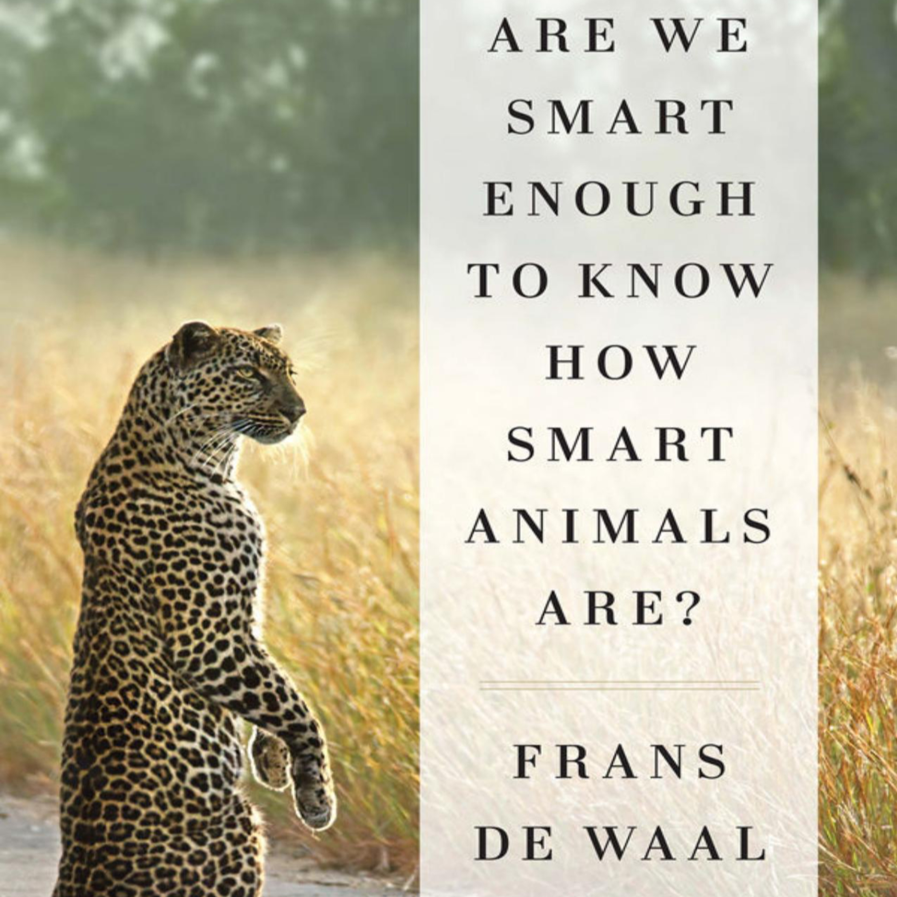 Are We Smart Enough to Know How Smart Animals Are?: Testing Bias and Animal Minds episode artwork