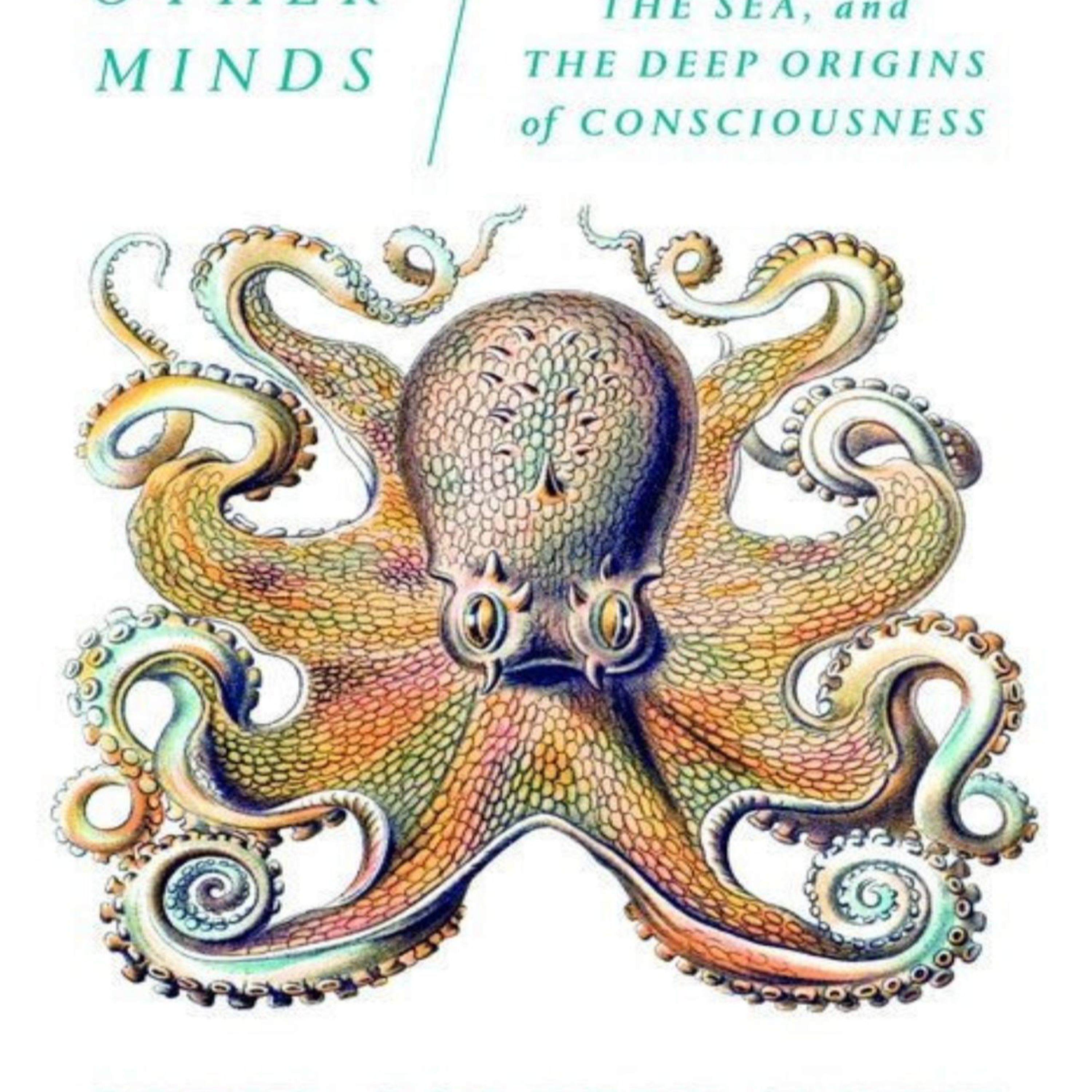 Other Minds: Why Evolution Built Consciousness More Than Once episode artwork