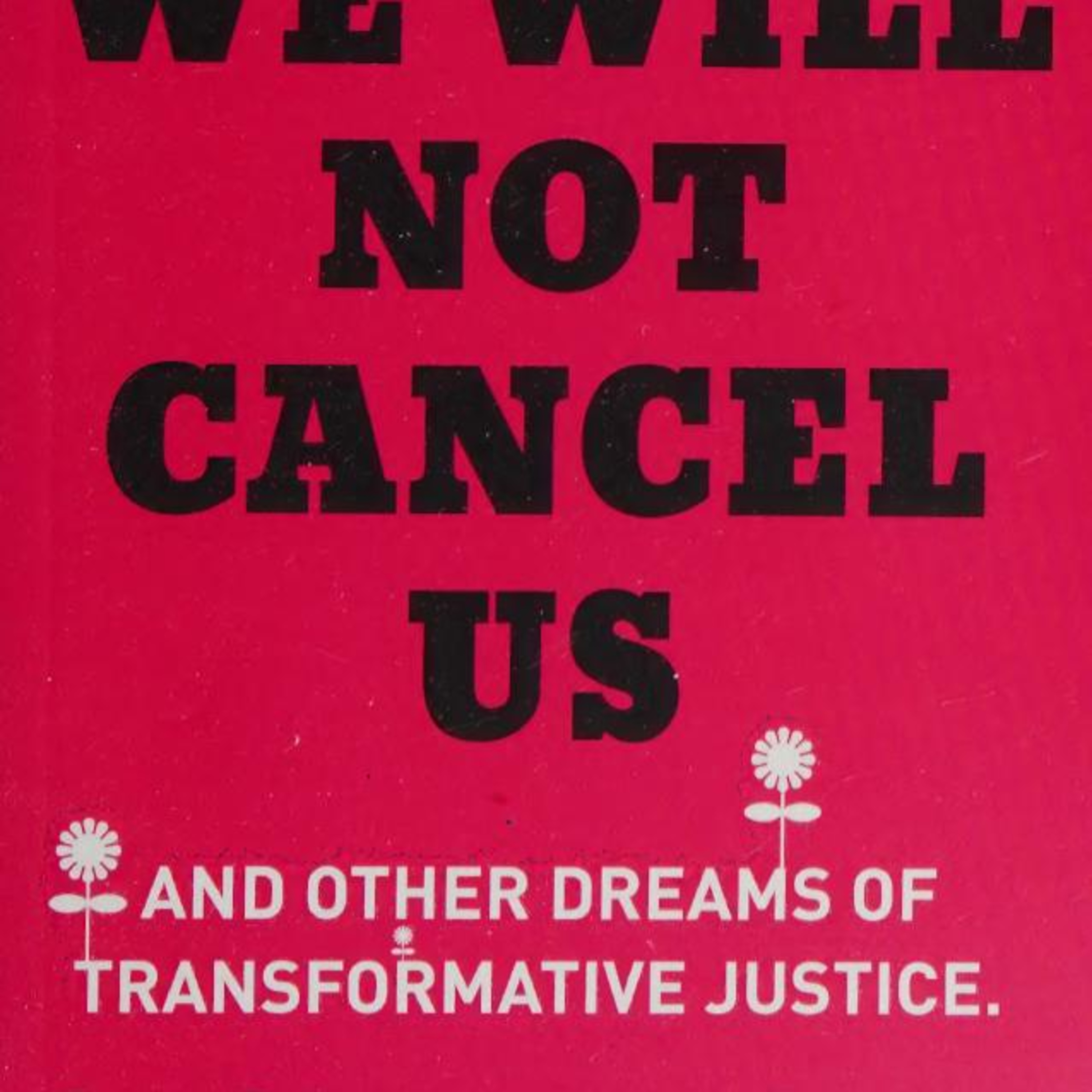 We Will Not Cancel Us: When Accountability Becomes Punishment — Systems Analysis episode artwork