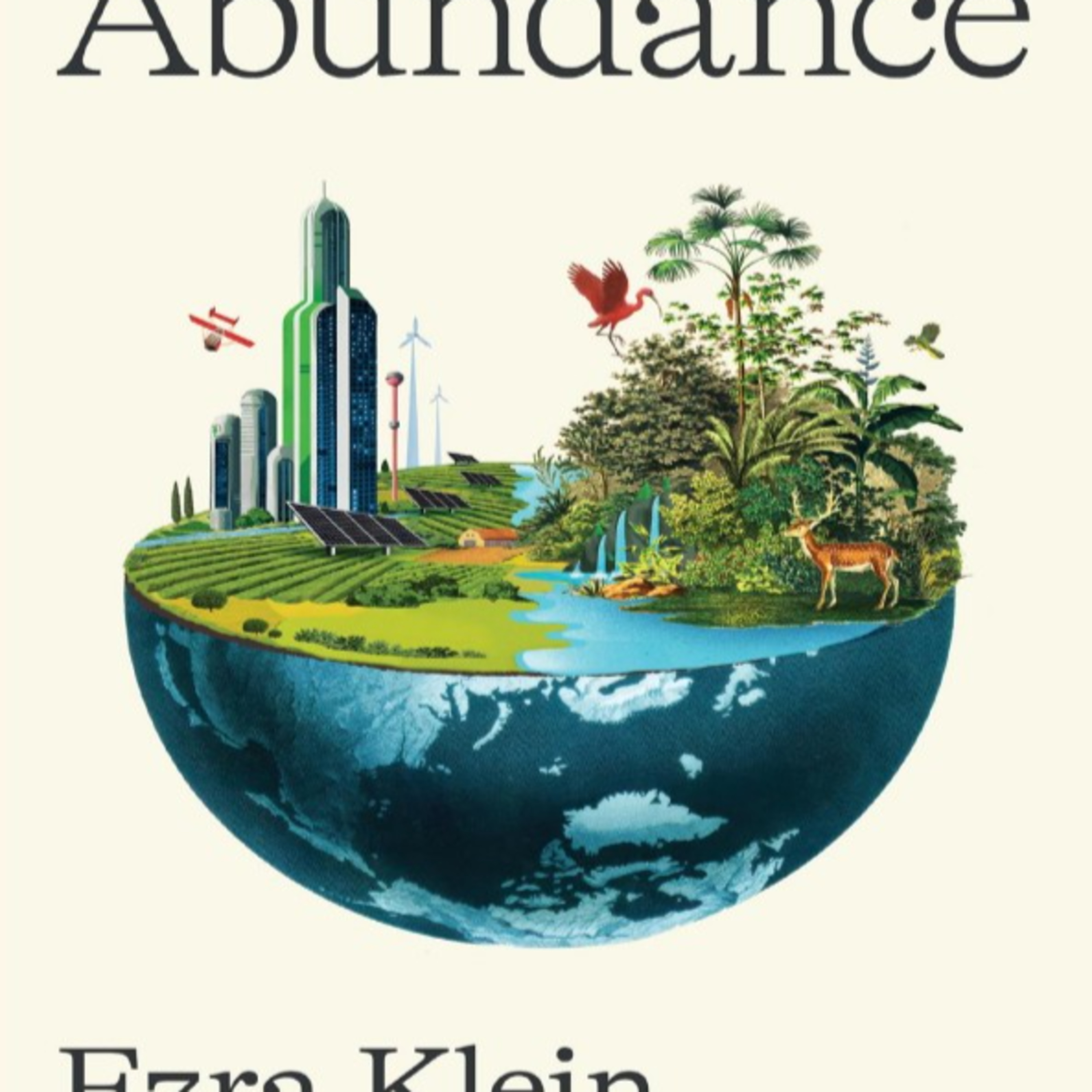 Abundance: Why America Forgot How to Build — The Scarcity System episode artwork