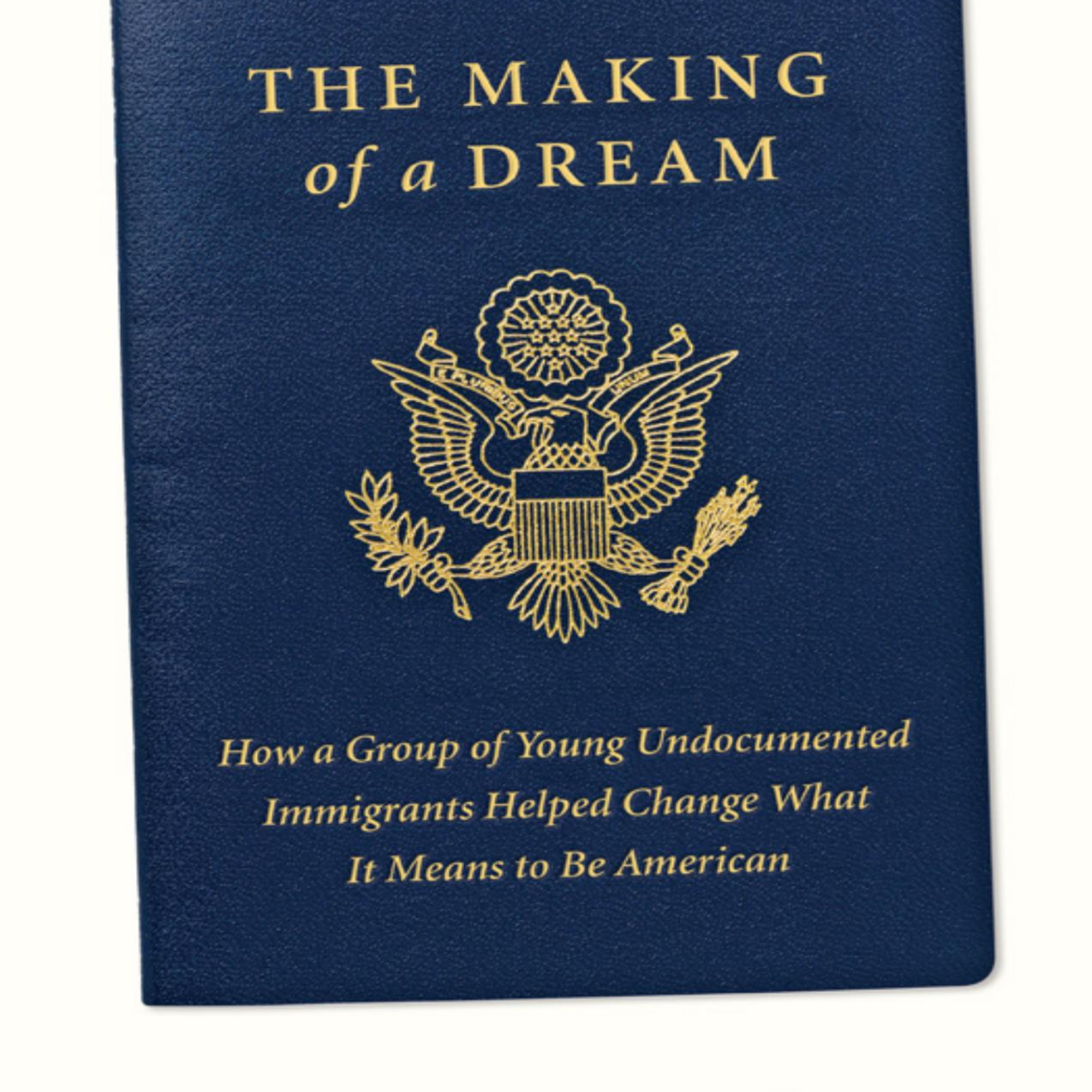 The Making of a Dream — The Hidden System Behind Immigration Reform episode artwork