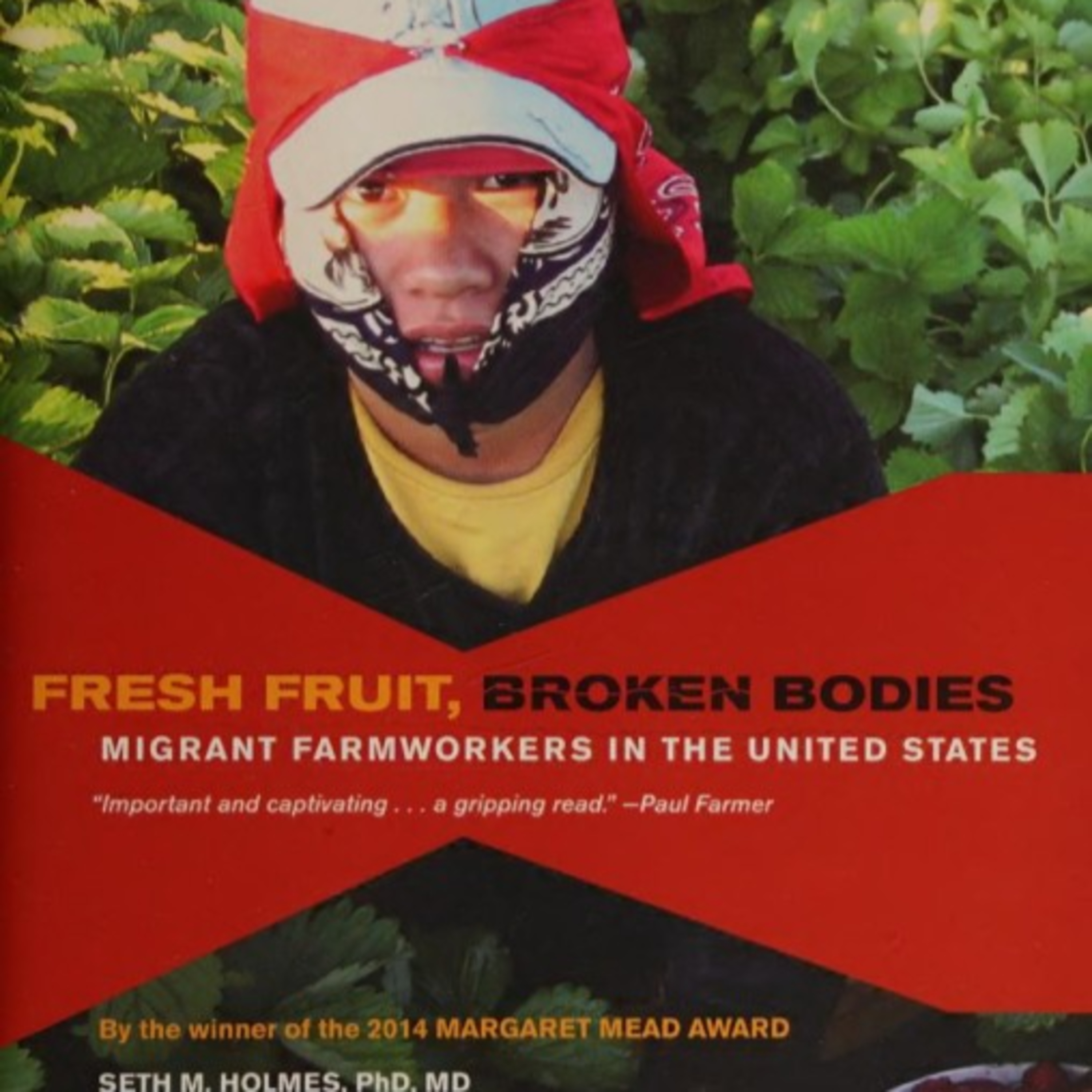 Fresh Fruit, Broken Bodies: Cheap Food and Hidden Structural Violence episode artwork
