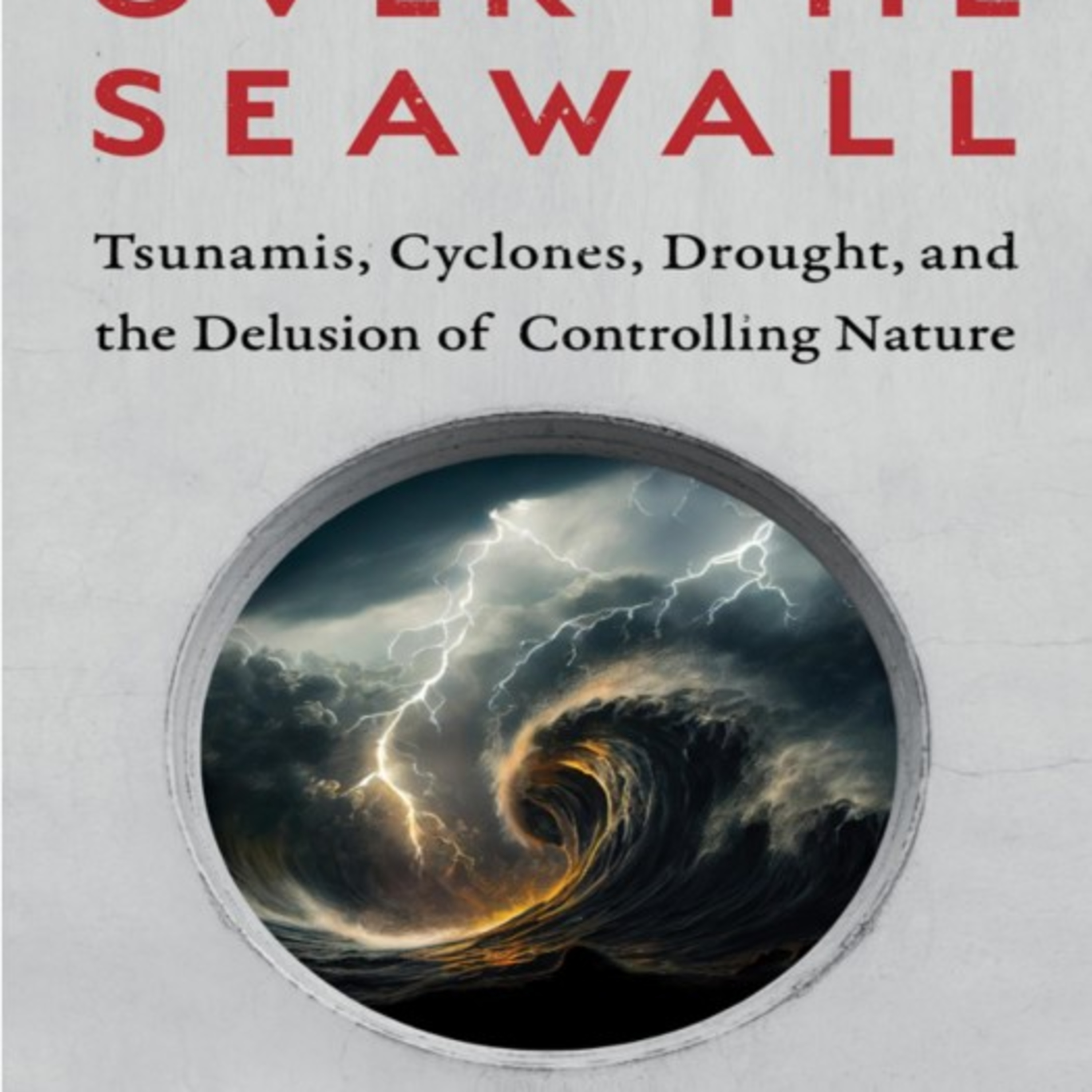 Over the Seawall: When Safety Infrastructure Creates Risk — The Infrastructure Trap episode artwork