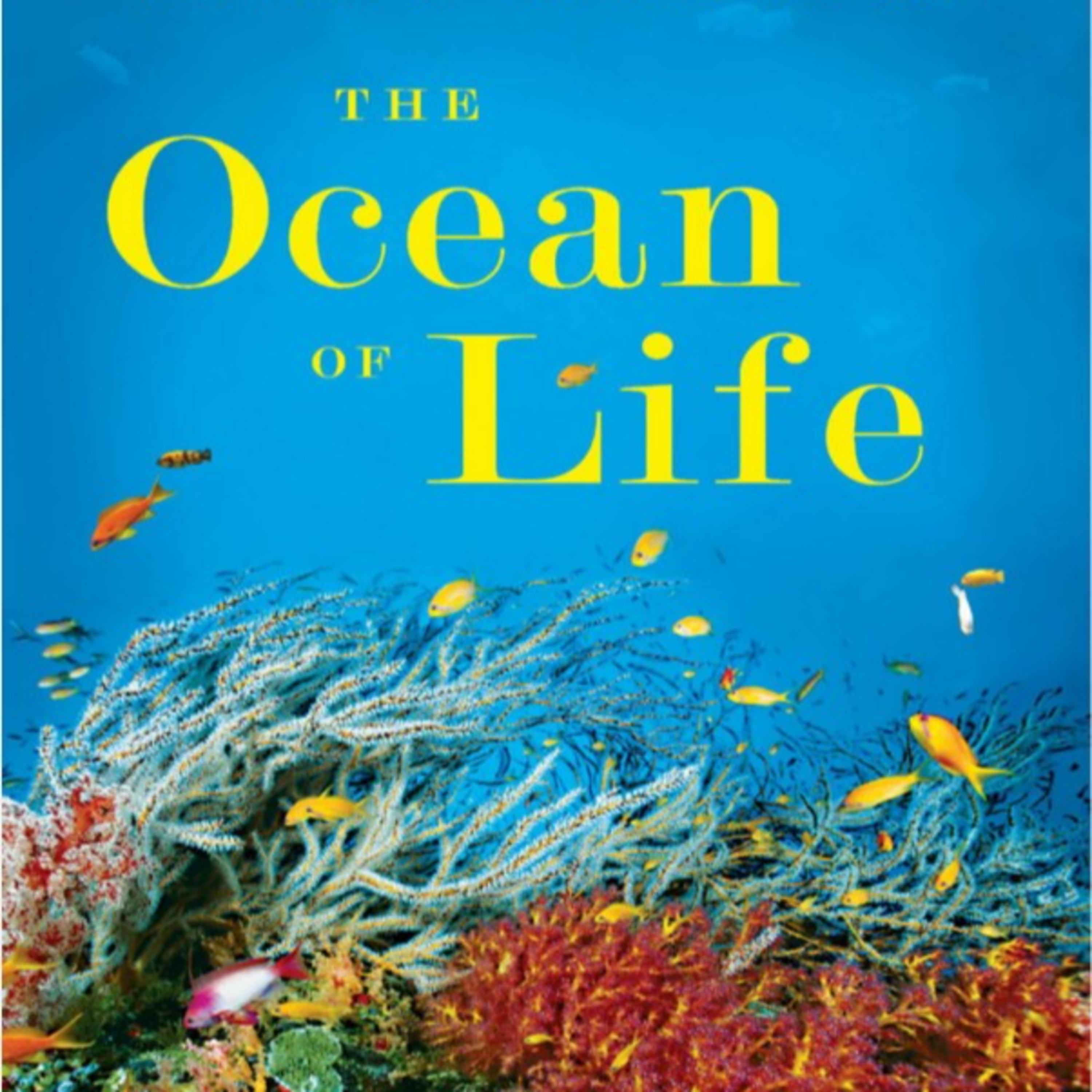 The Ocean of Life: Shifting Baselines — Ecological Blindness and Ocean Decline episode artwork