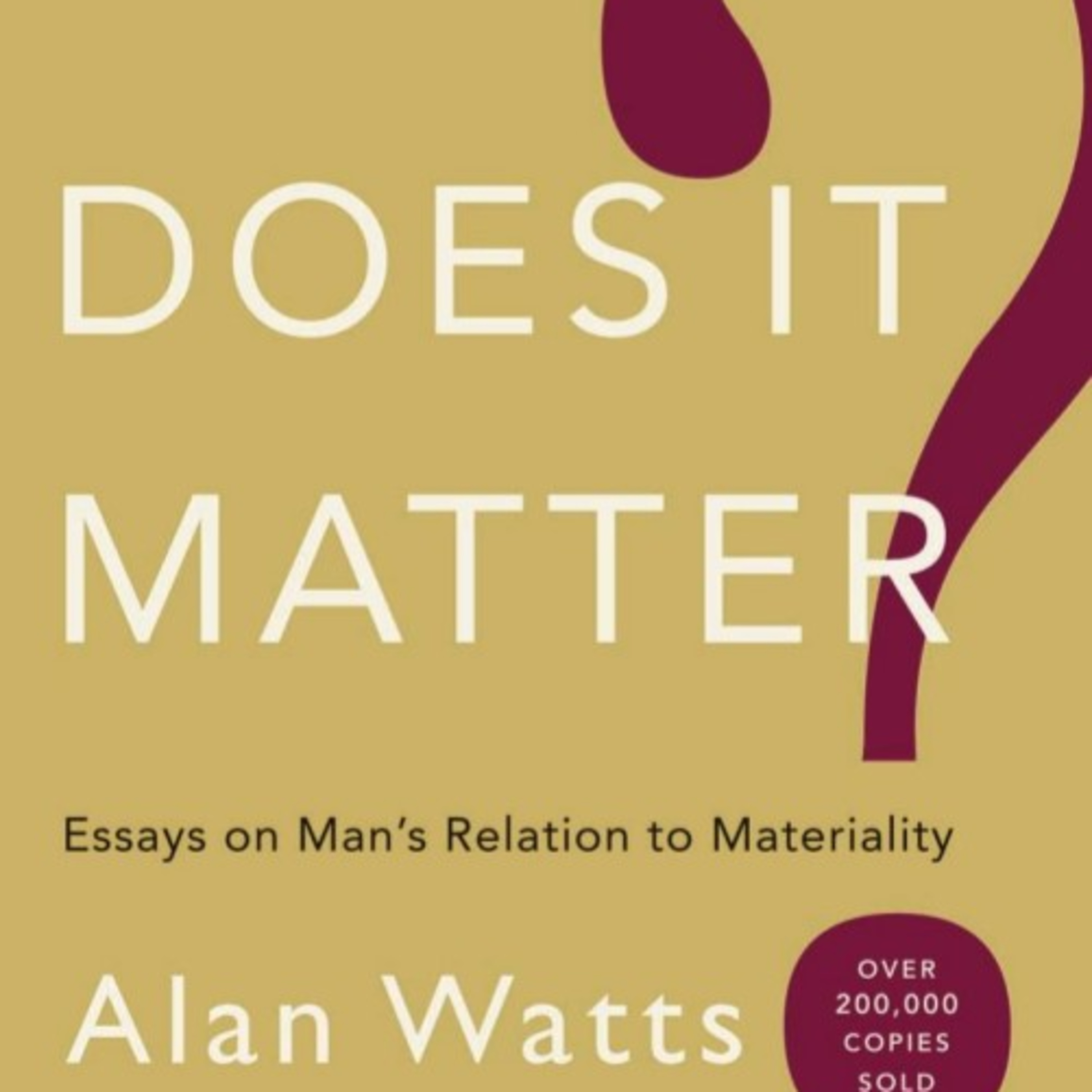 Does It Matter: When Symbols Replace Reality — The Abstraction Trap episode artwork