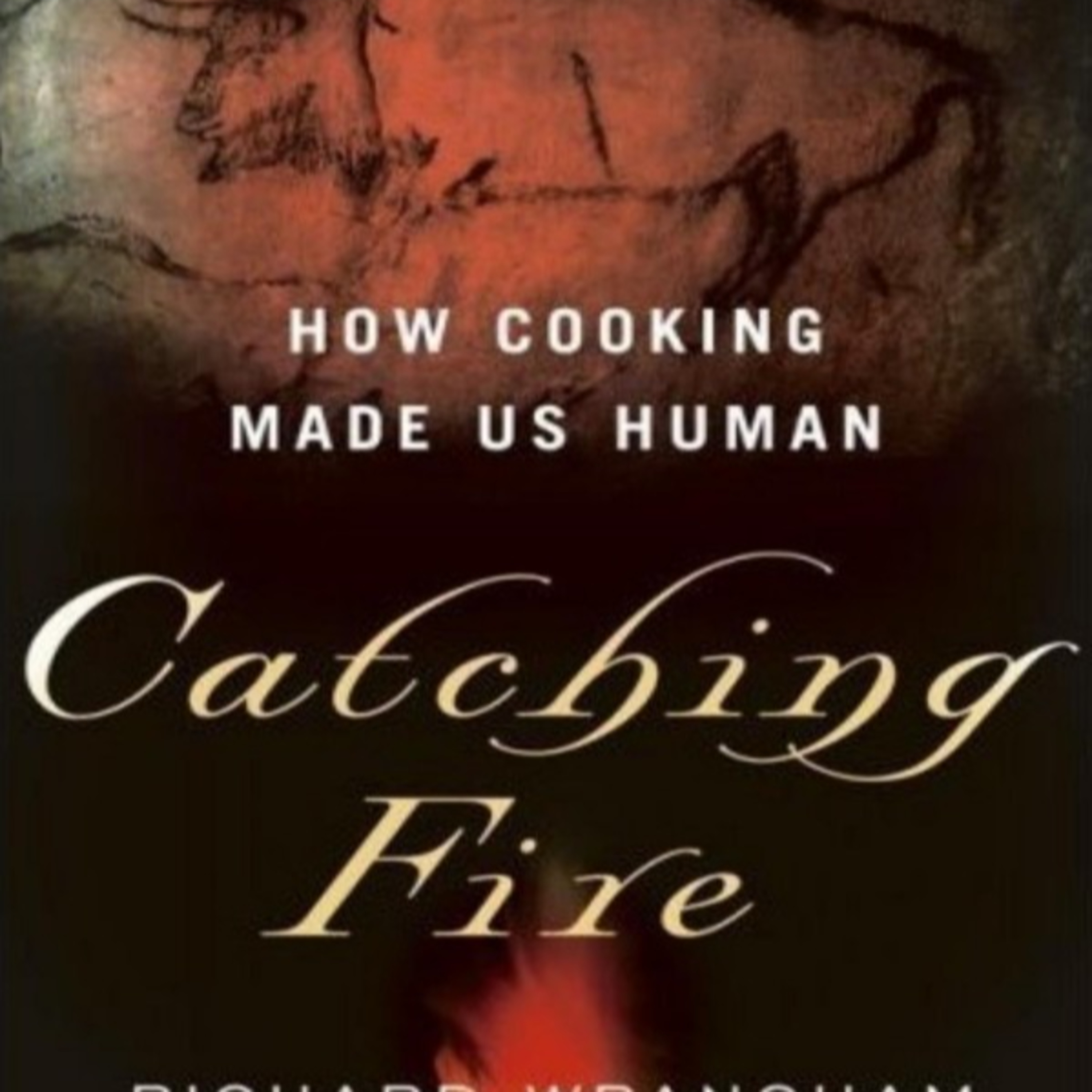 Catching Fire: How Cooking Made Us Human — The Thermodynamics of Human Evolution episode artwork