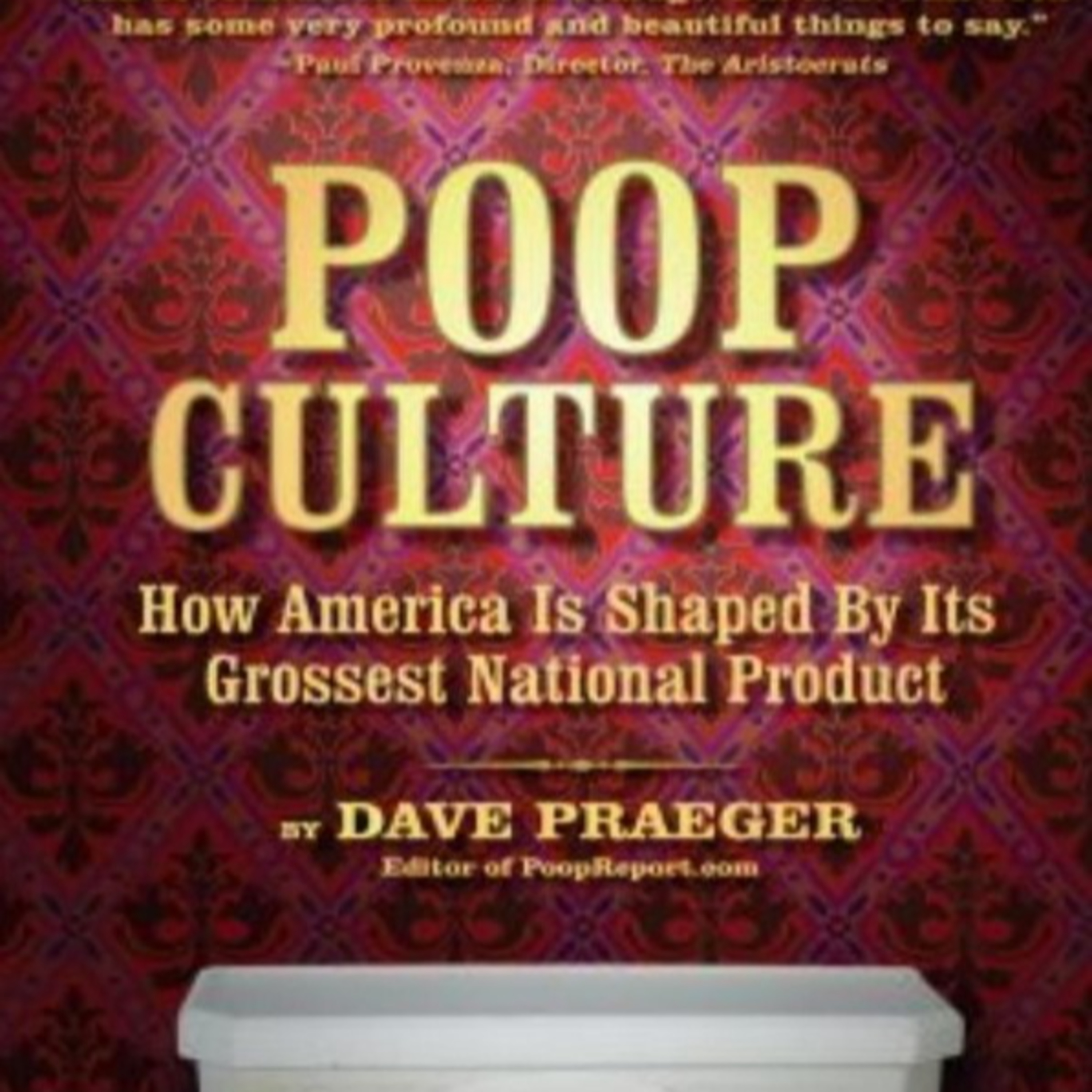 Poop Culture: The Hidden System Behind the Flush Toilet — Infrastructure and Denial episode artwork