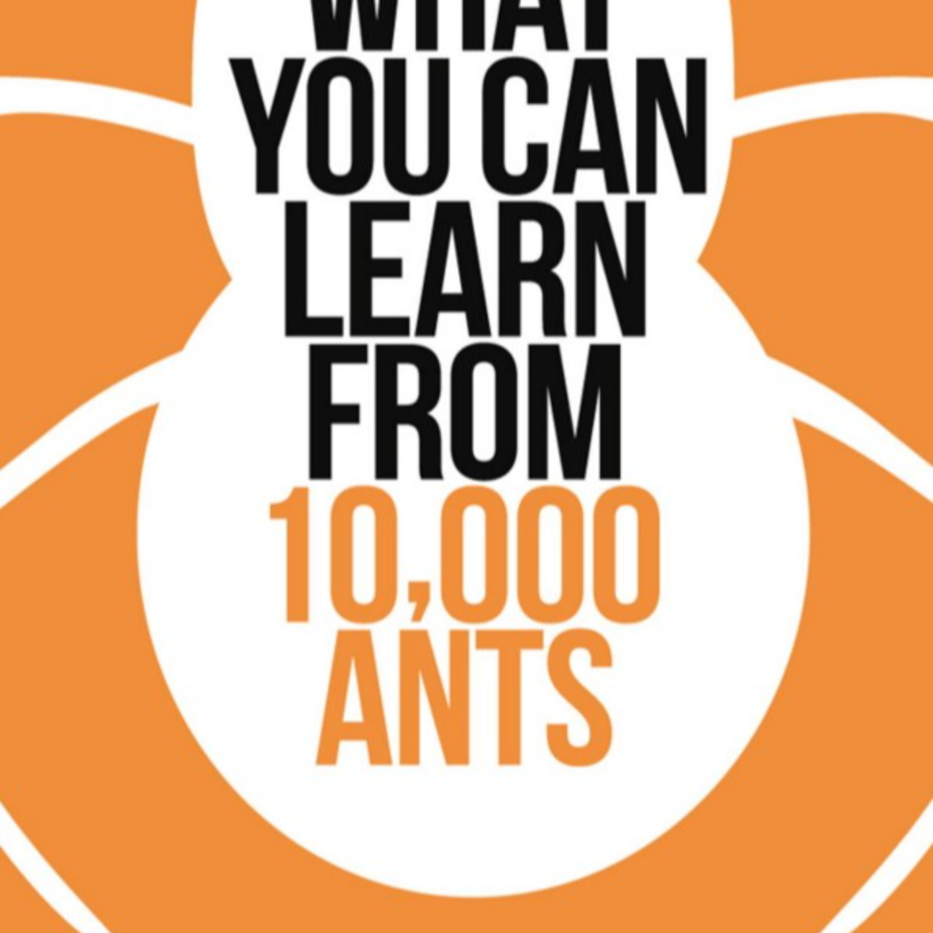 What You Can Learn From 10,000 Ants: The Hidden Intelligence of Decentralized Systems episode artwork