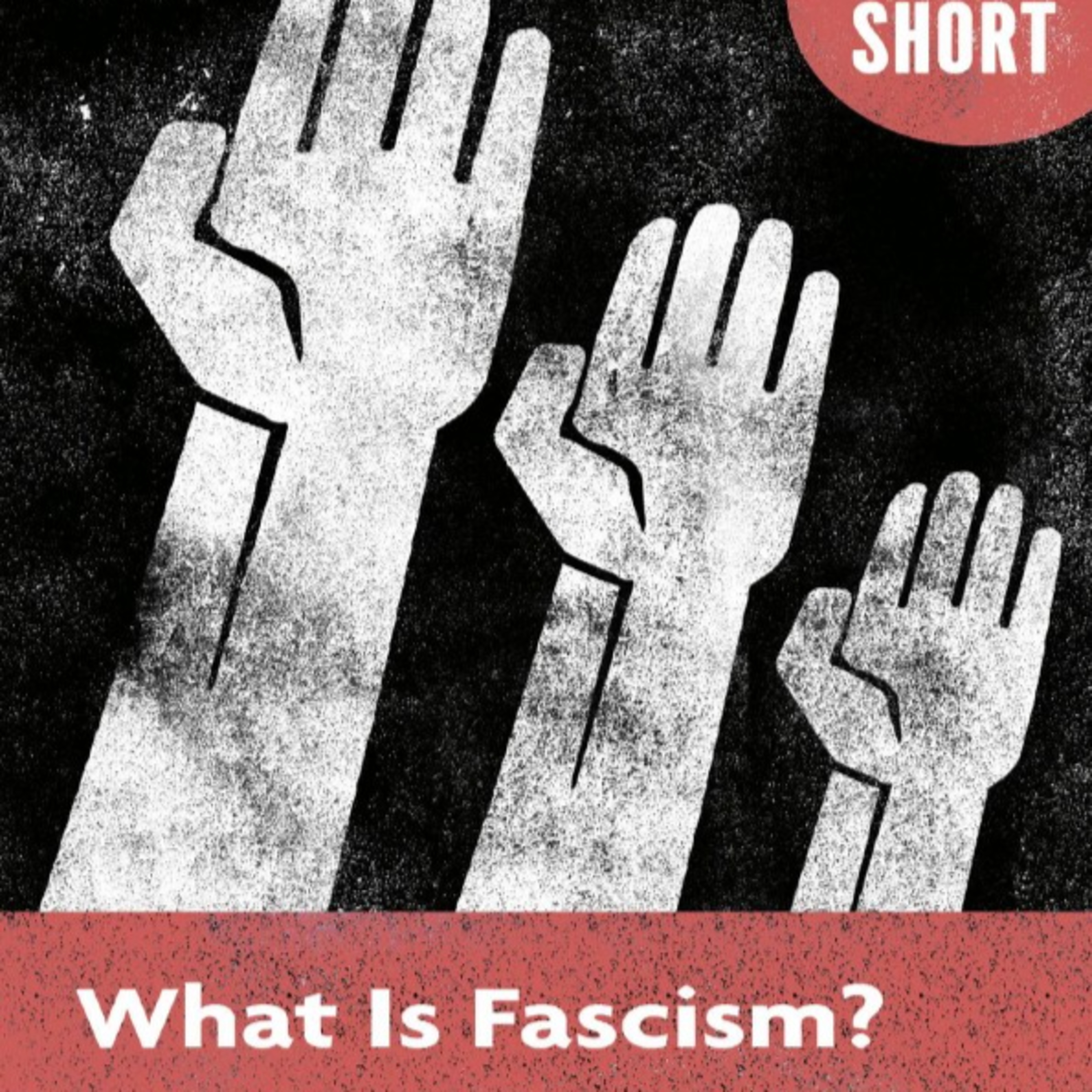 The Anatomy of Fascism: How Democracies Enable Extremism — The System Behind the Movement episode artwork