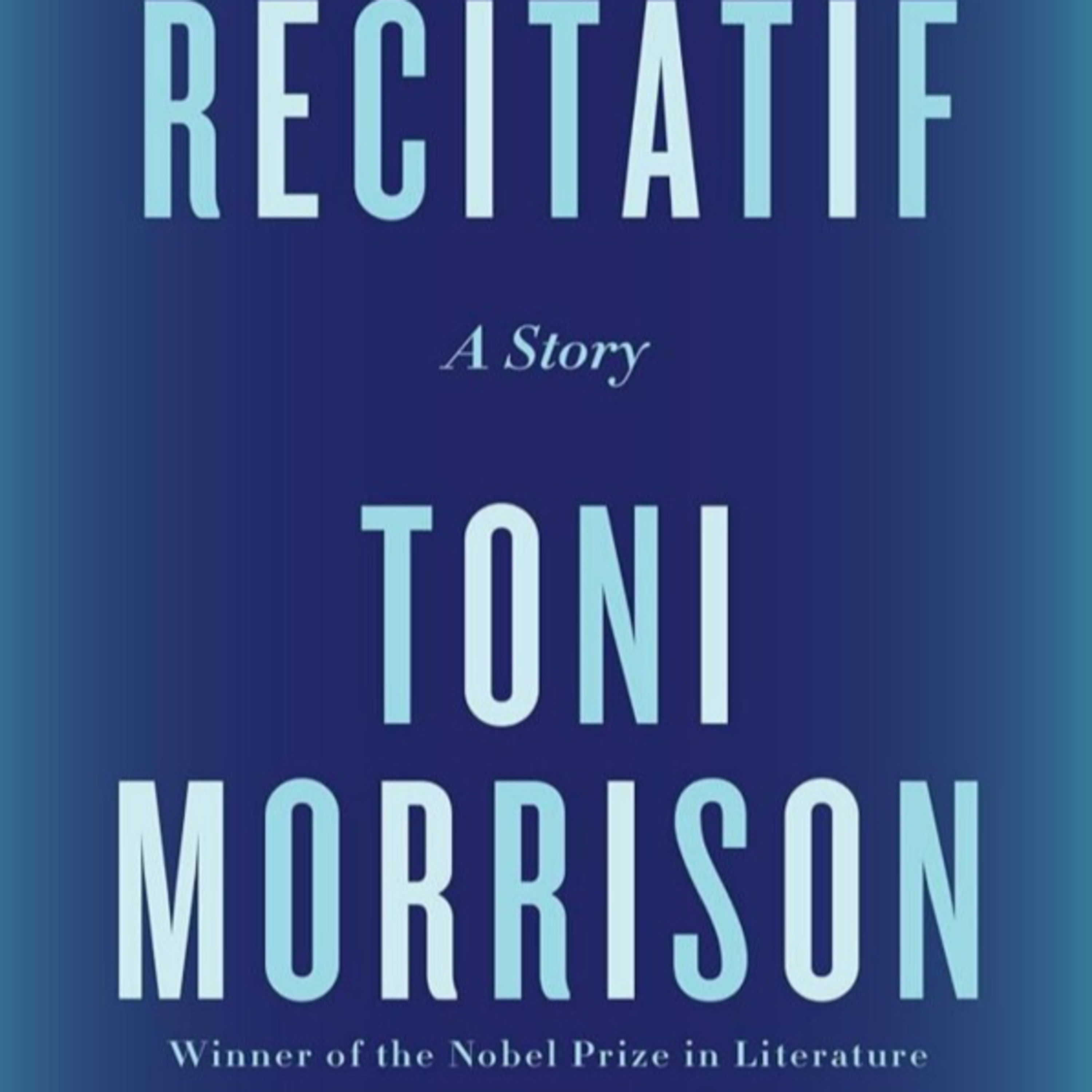 Recitatif: The Identity Puzzle — How Categorization Shapes Perception episode artwork
