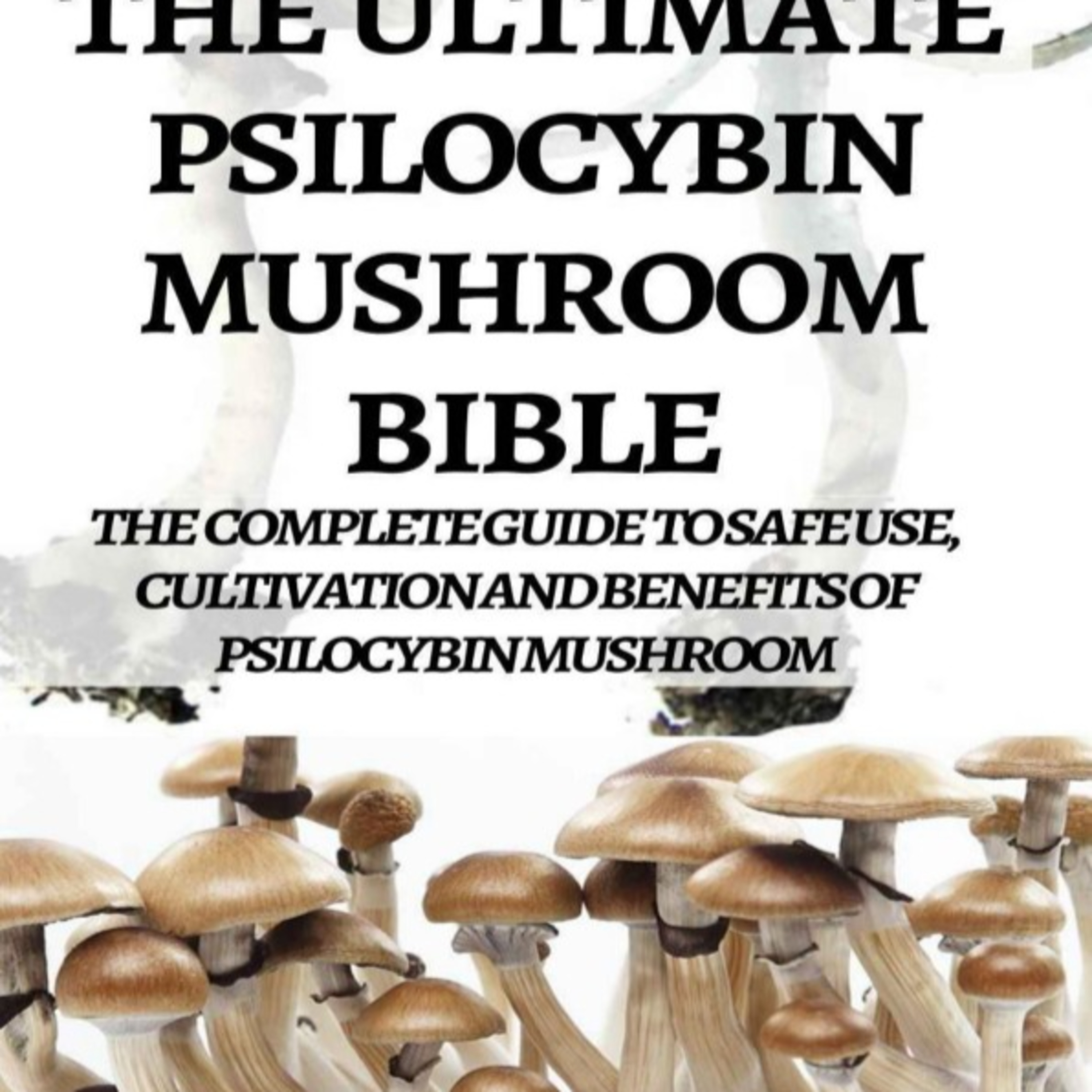 The Ultimate Psilocybin Mushroom Bible: Science, Therapy & Institutional Inertia episode artwork