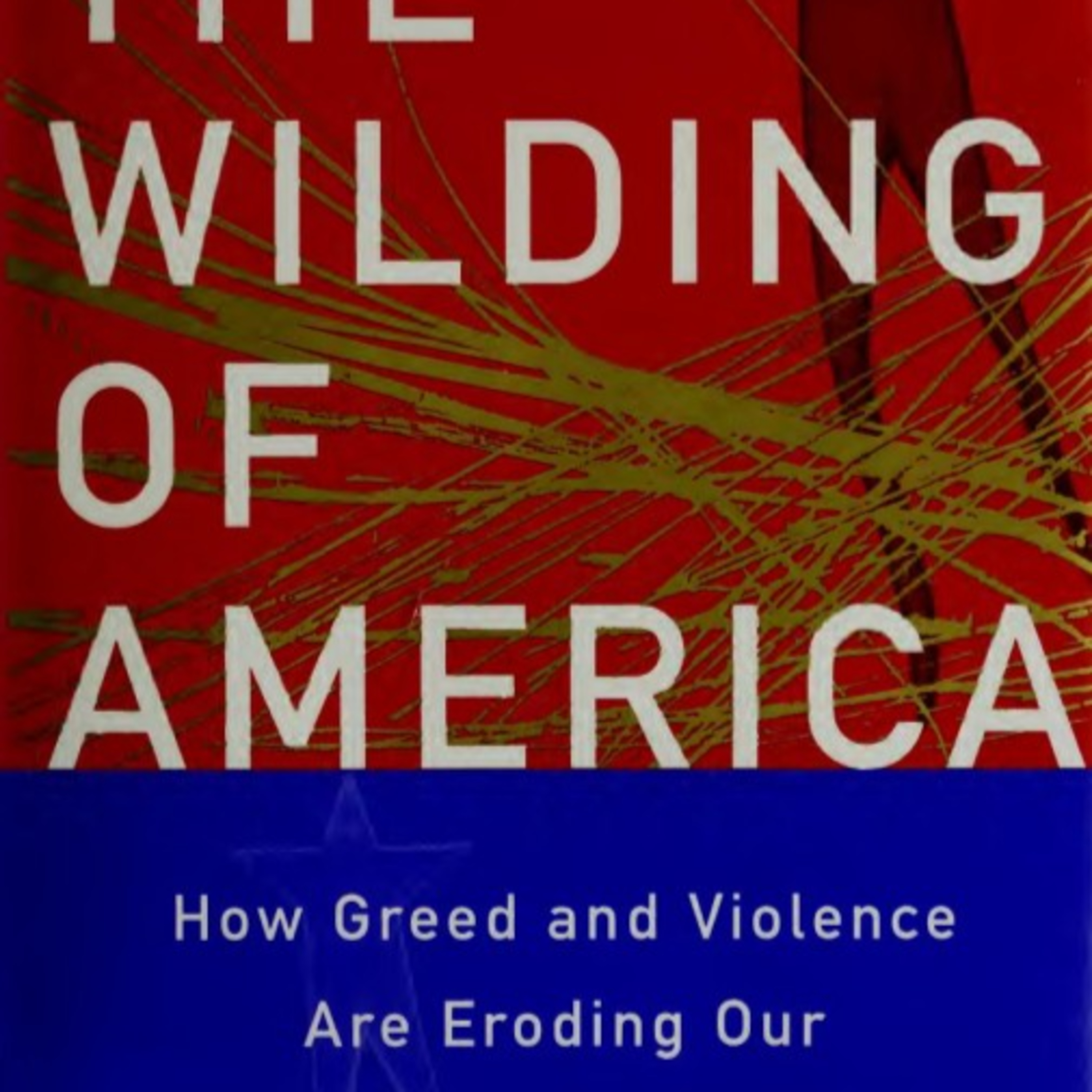 The Wilding of America: When Institutions Reward Selfishness — Systems Analysis episode artwork