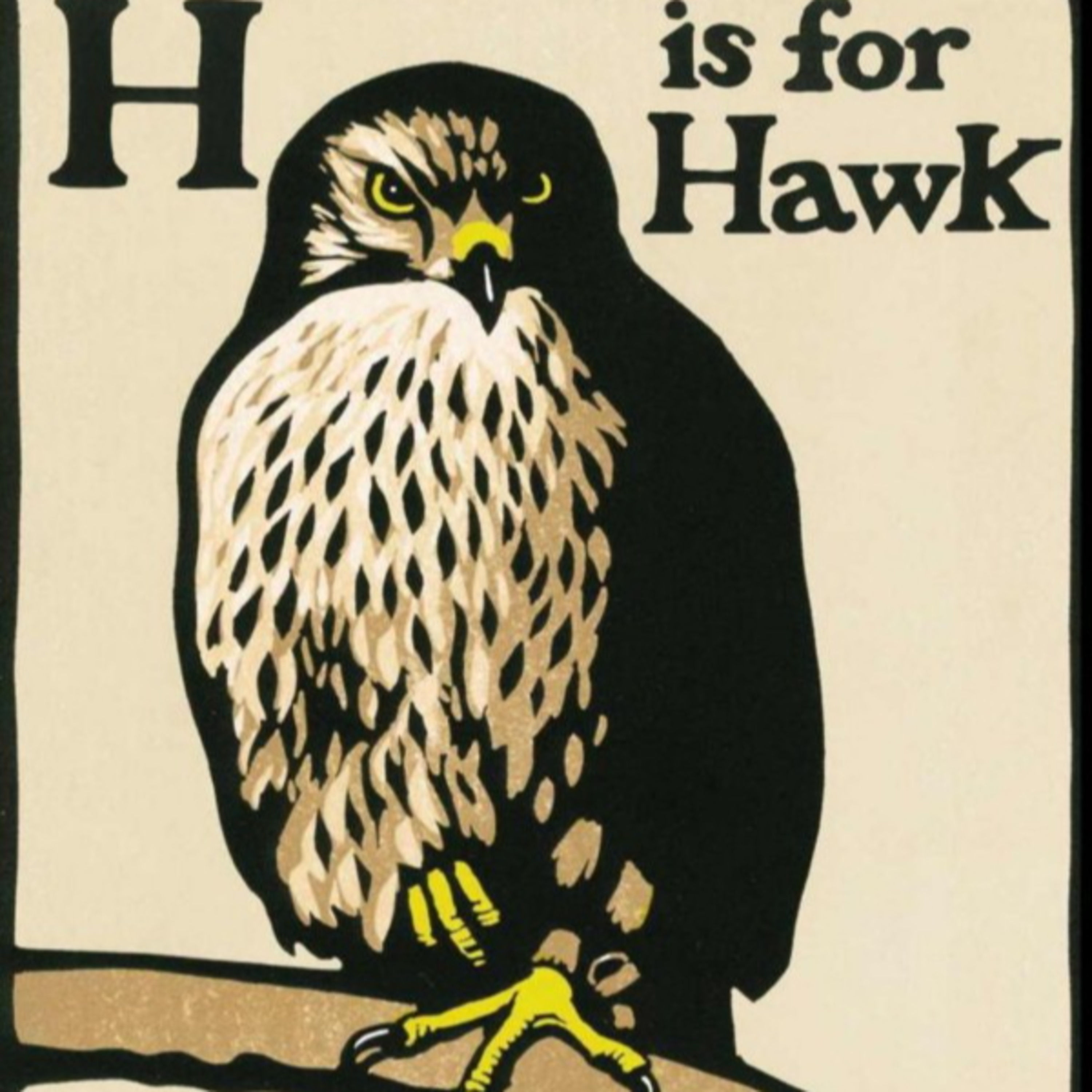 H is for Hawk — How Grief Rebuilds Perception episode artwork