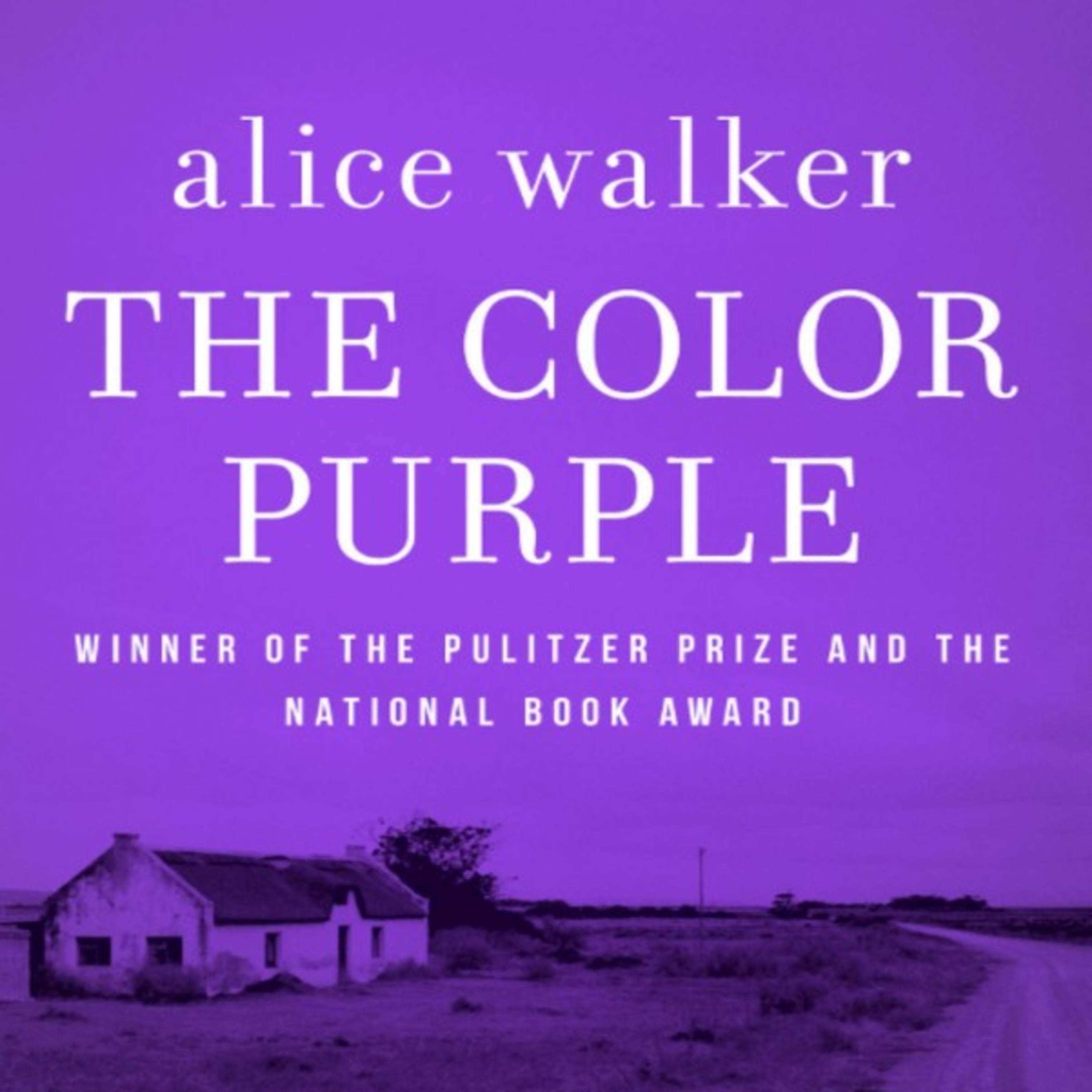 The Color Purple — How Systems of Power Teach People to Distrust Their Own Voice episode artwork