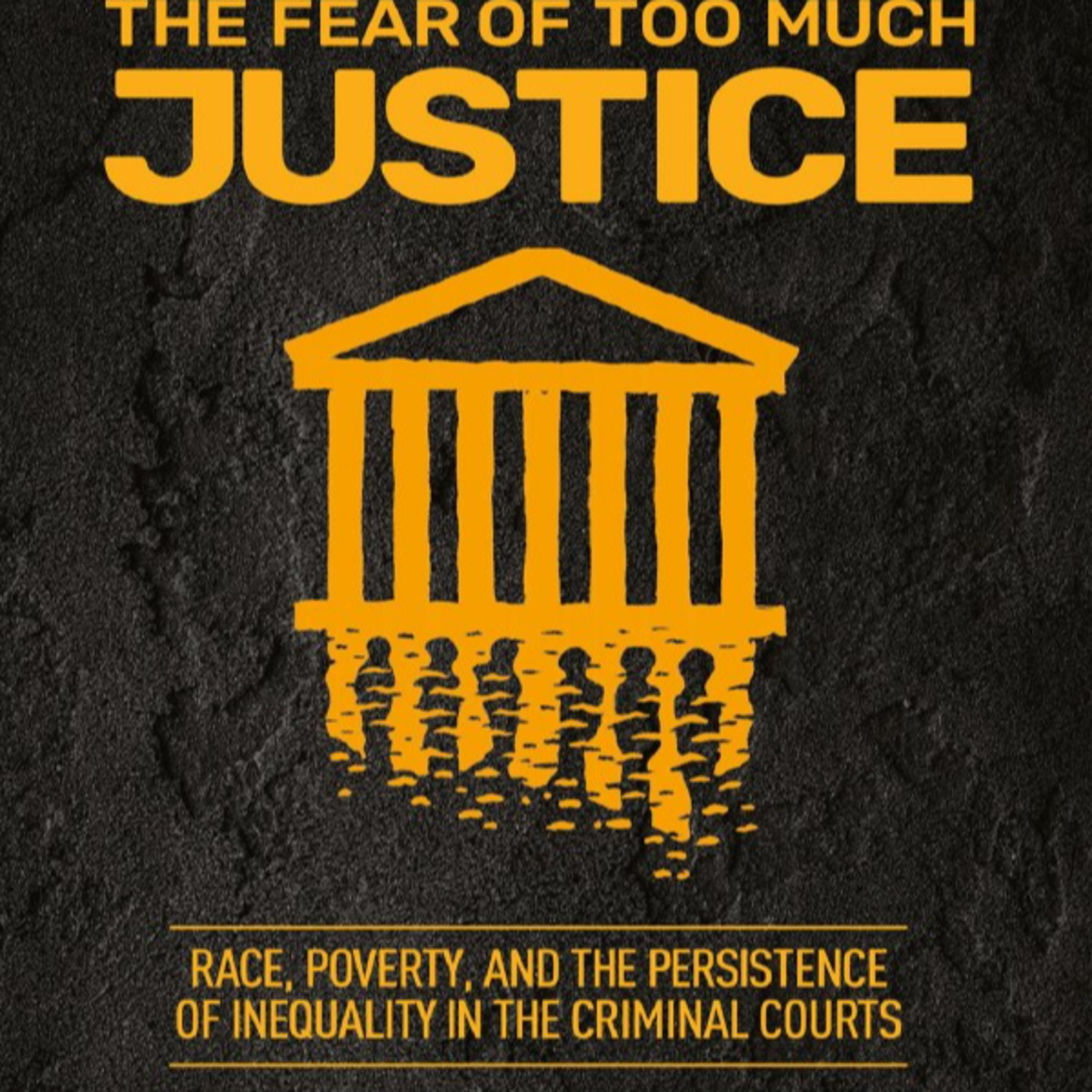 The Fear of Too Much Justice — When Efficiency Replaces Equal Justice episode artwork