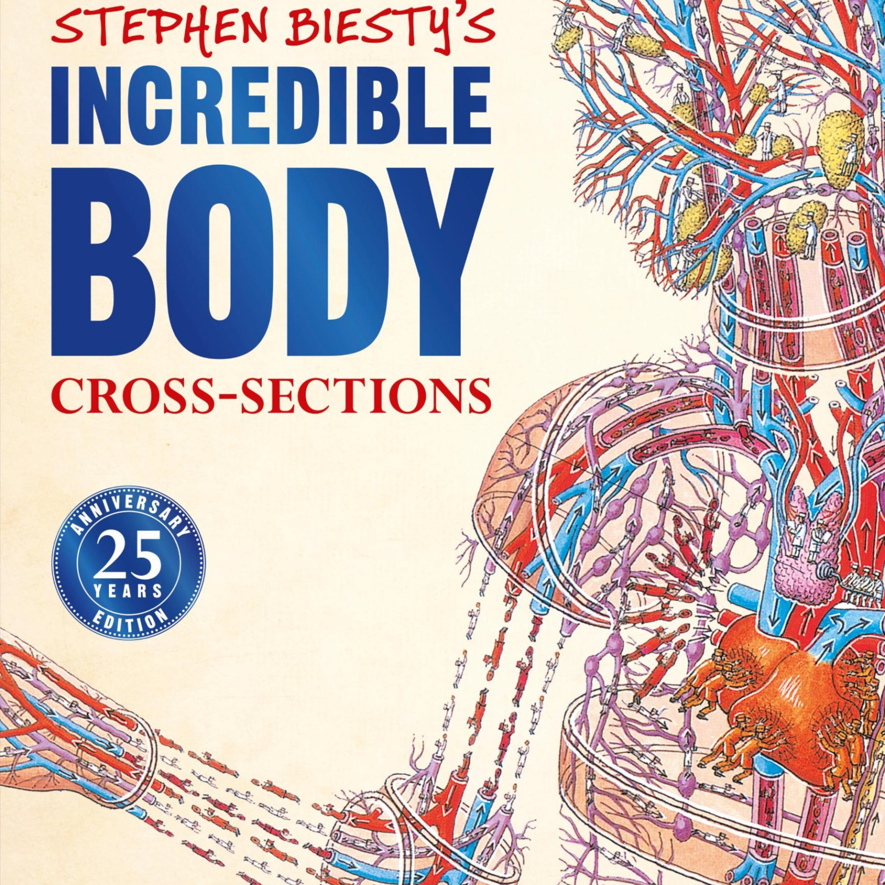 Stephen Biesty’s Incredible Body Cross-Sections — The Body Without a Foreman episode artwork