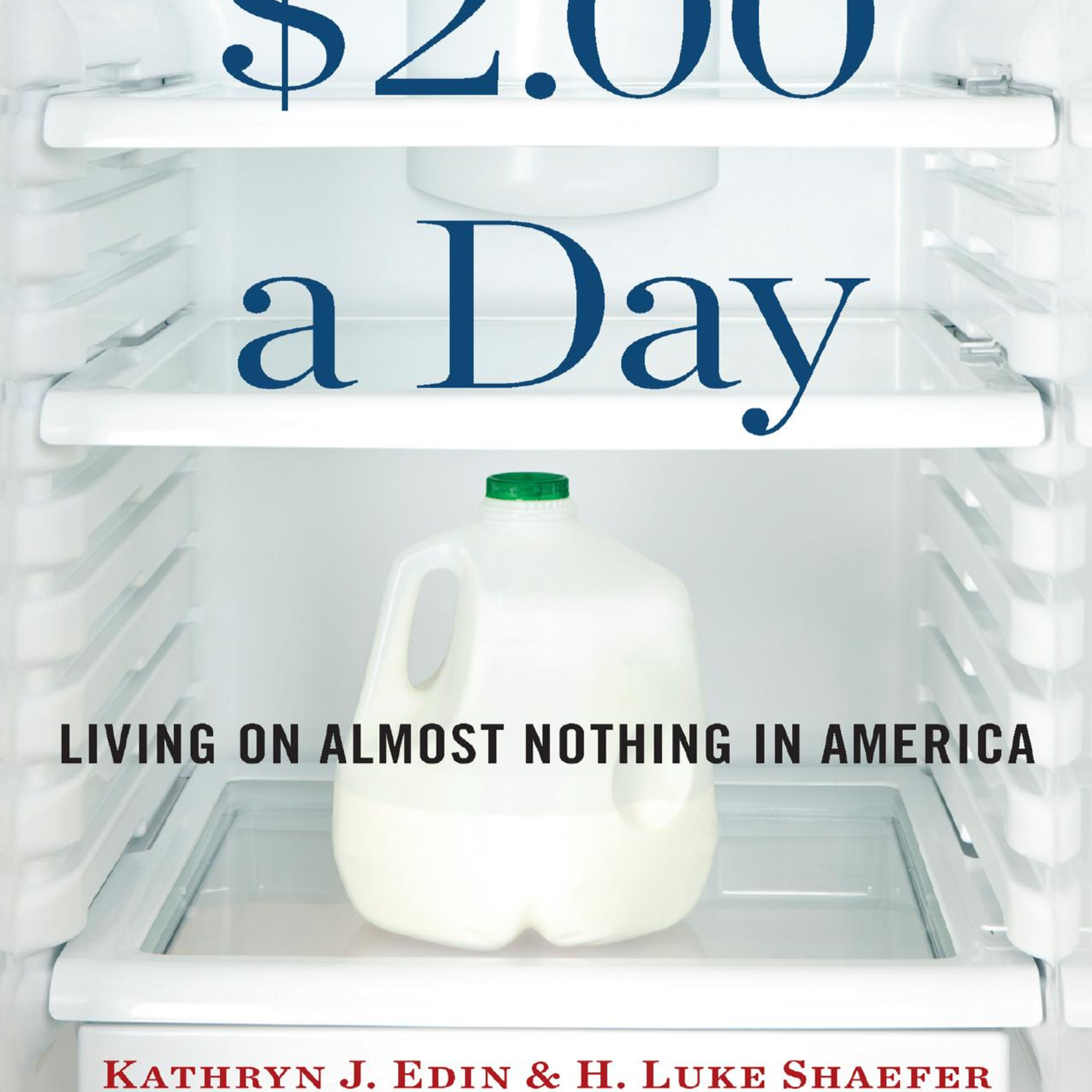 $2.00 a Day: Living on Almost Nothing in America — The Gap Between Work and the Safety Net