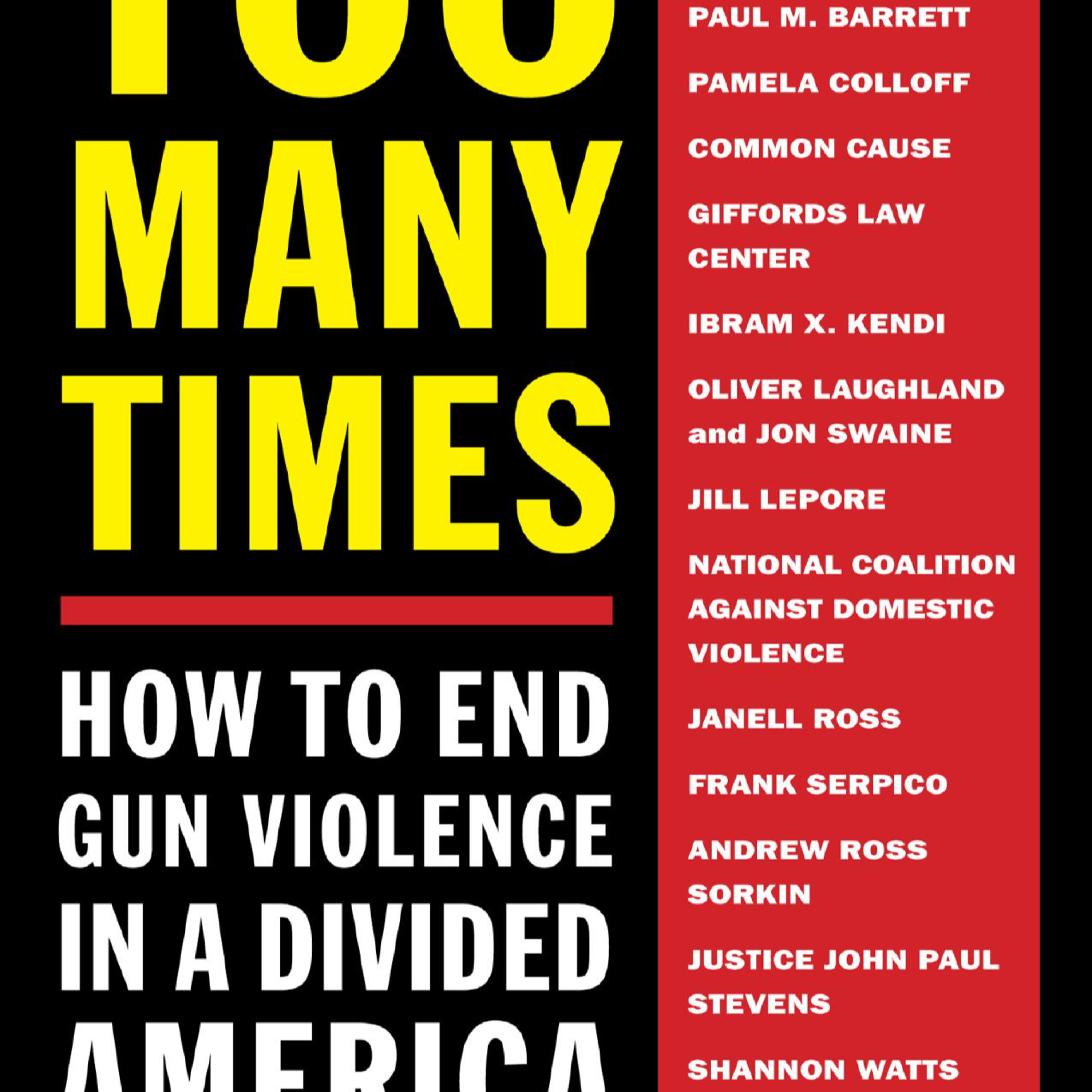 Too Many Times: How to End Gun Violence in a Divided America — When Safeguards Fail episode artwork