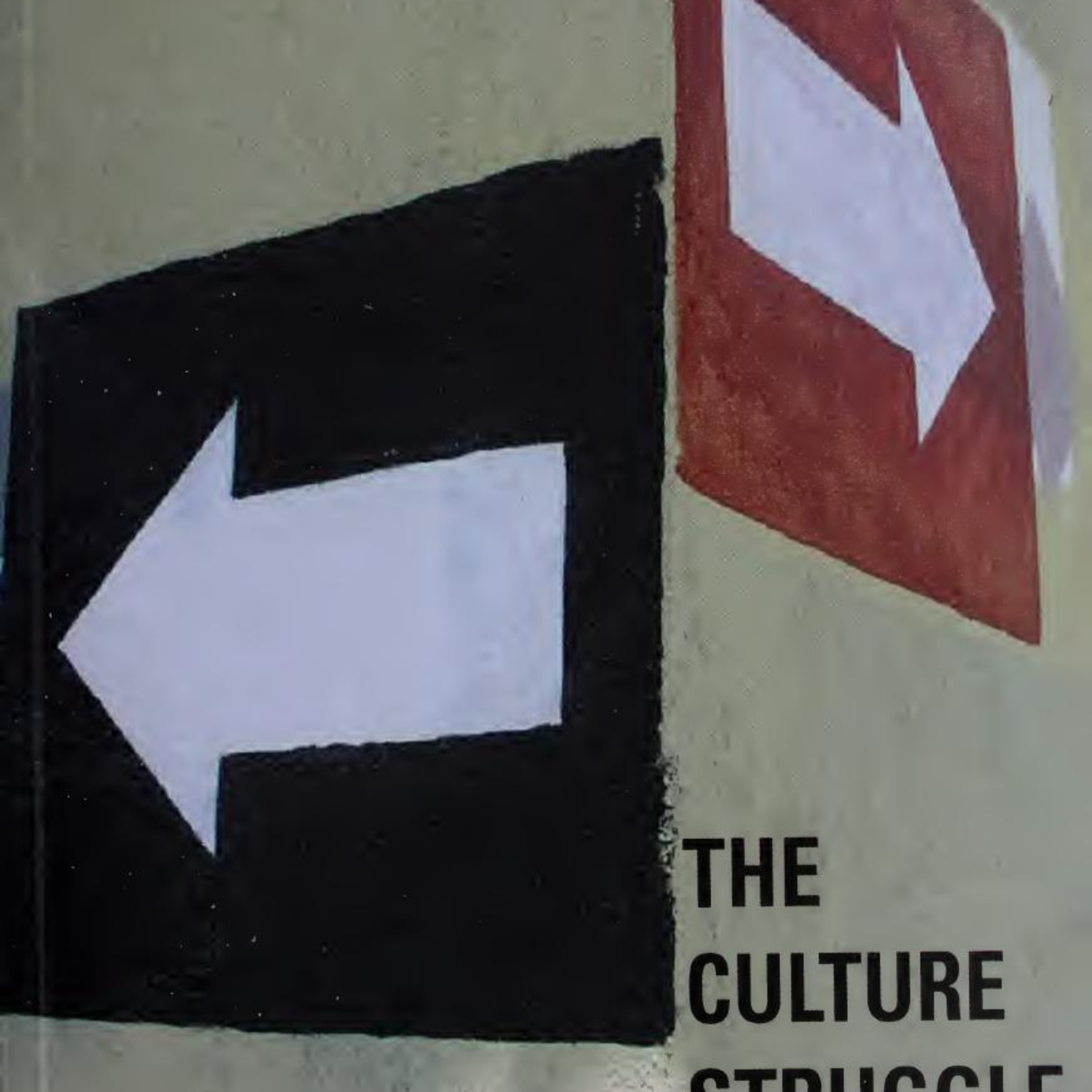 The Culture Struggle — Michael Parenti on Culture, Power, and Social Conflict episode artwork