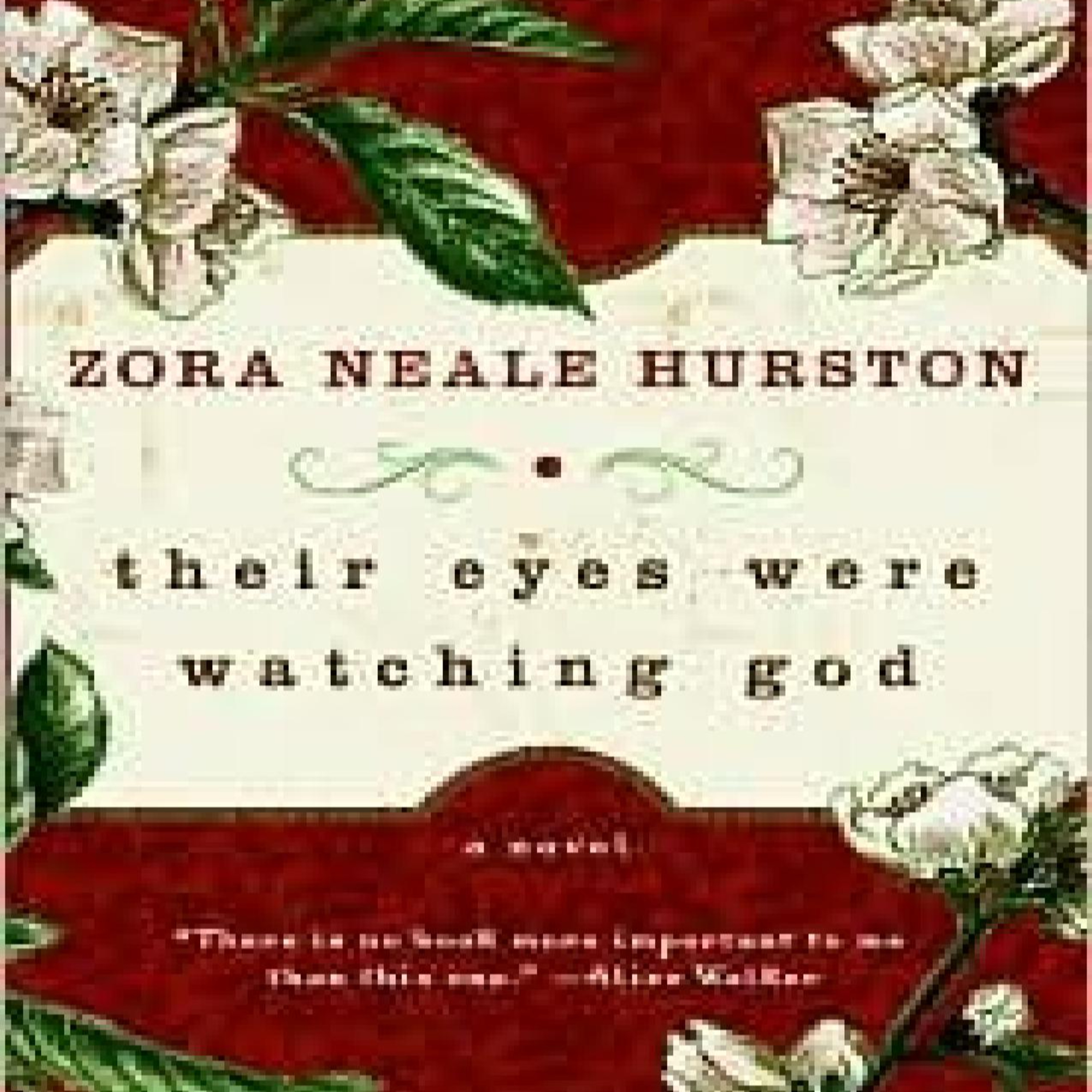 Their Eyes Were Watching God — Who Gets to Define a Life? episode artwork