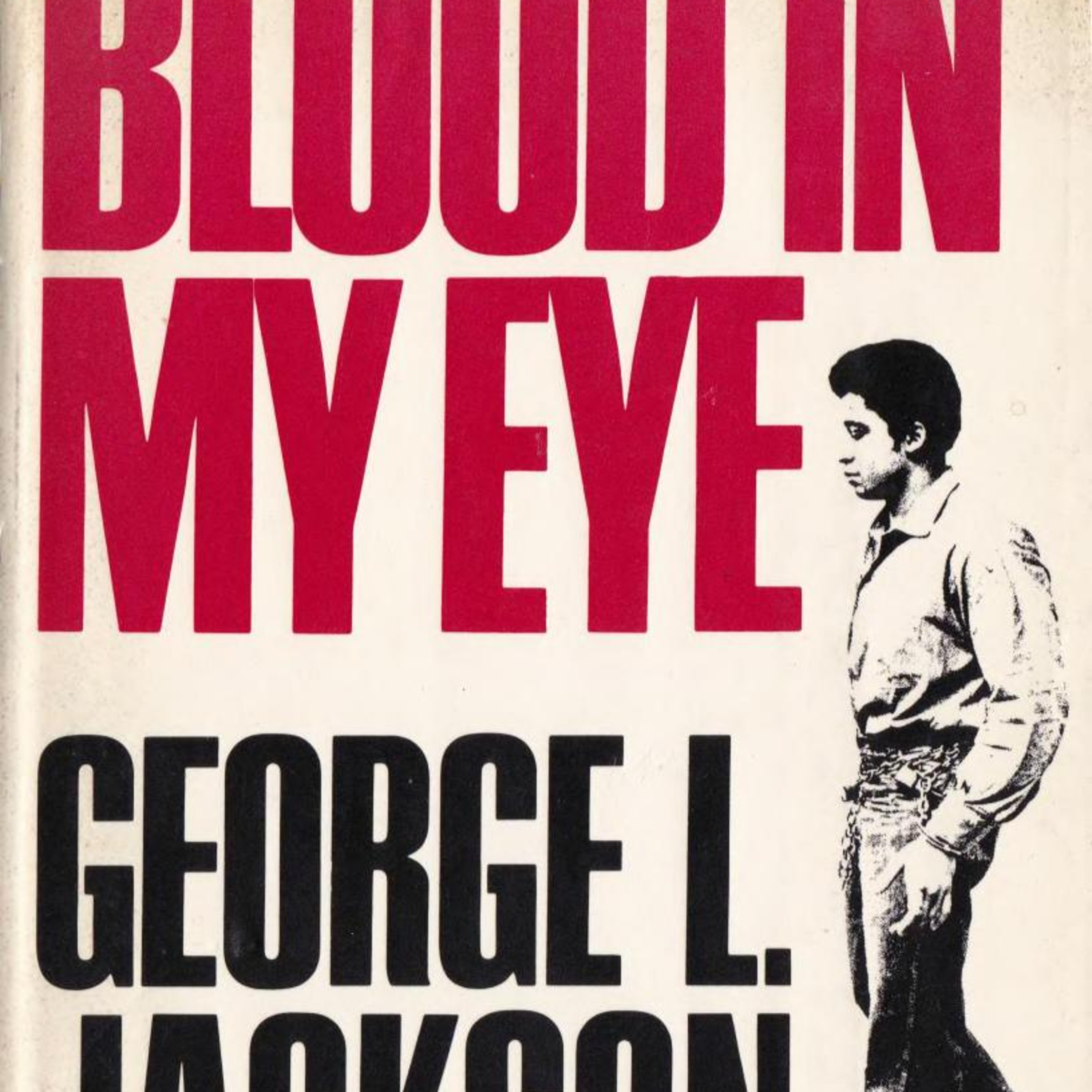 Blood in My Eye — Repression, Legitimacy, and Revolutionary Politics episode artwork