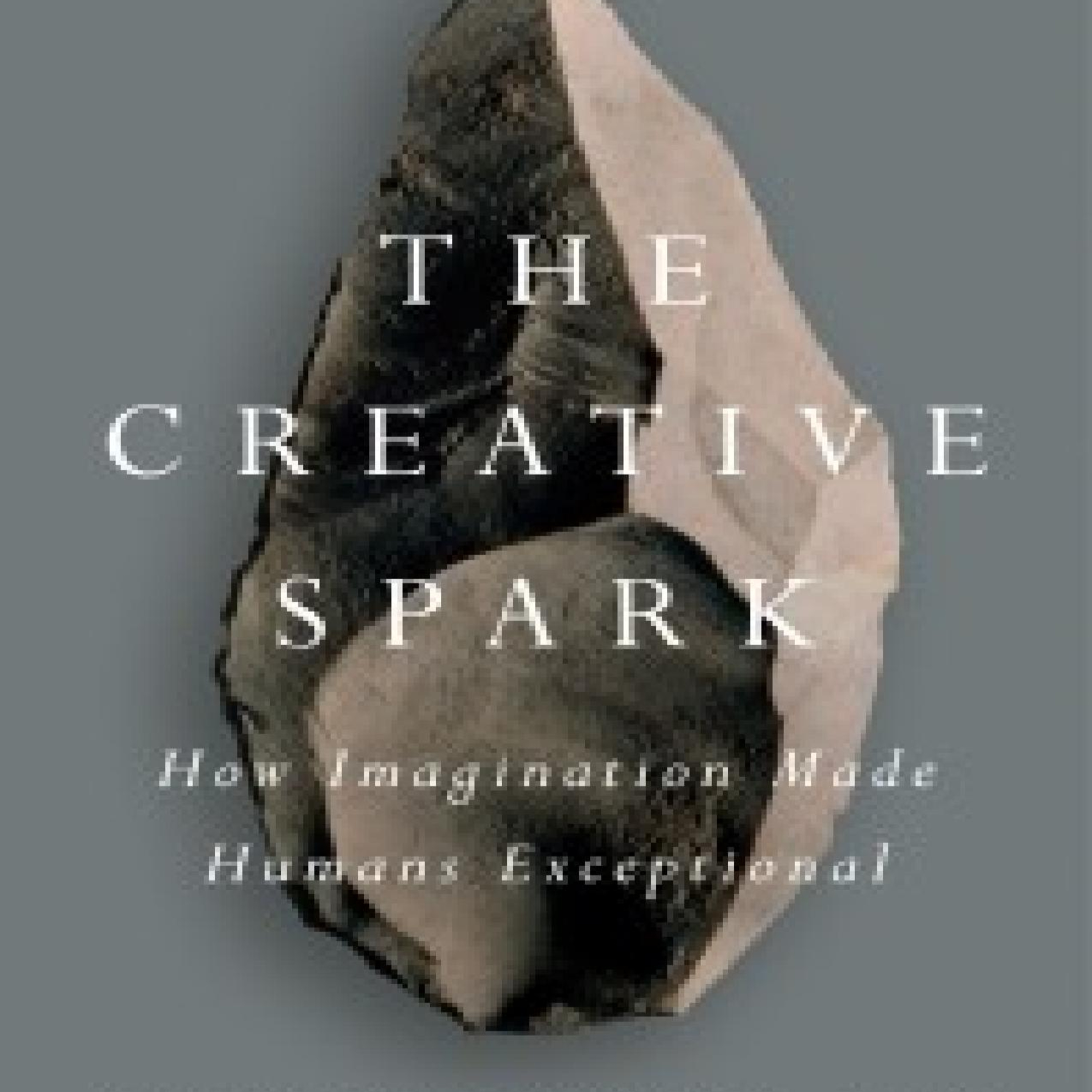 The Creative Spark: How Imagination Made Humans Exceptional — Creativity, Cooperation & Evolution episode artwork