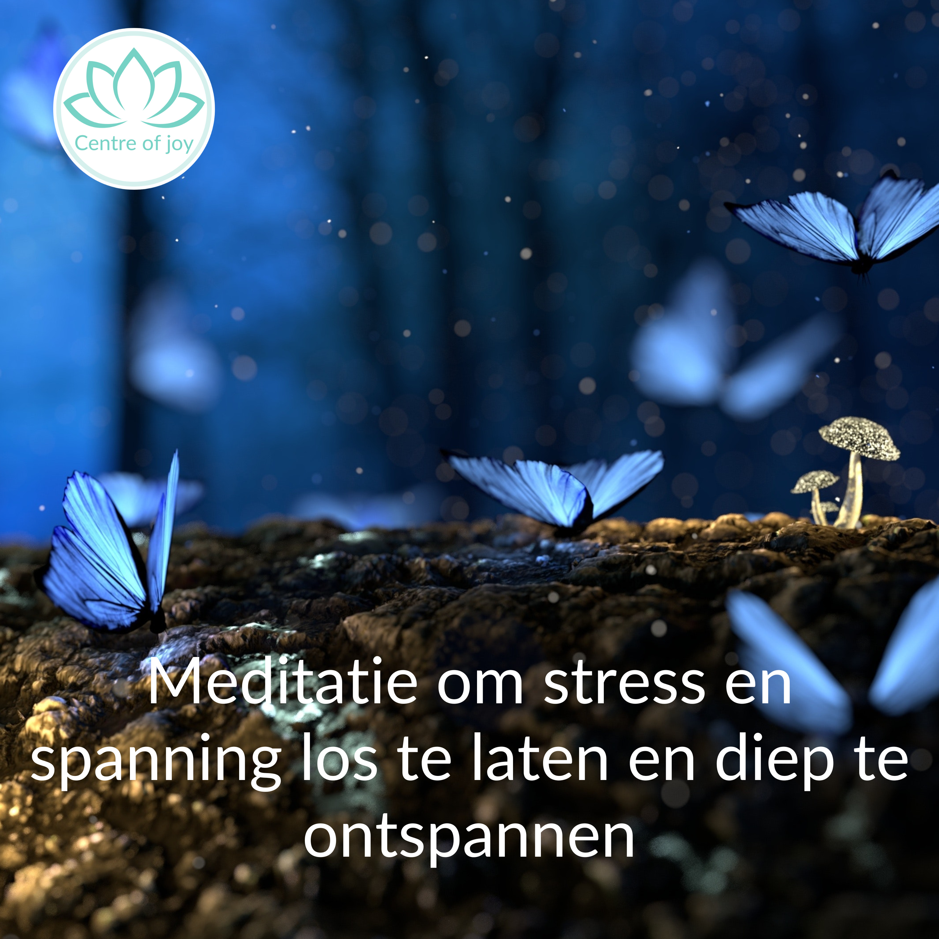 #010 | Meditatie om stress en spanning los te laten en diep te ontspannen episode artwork