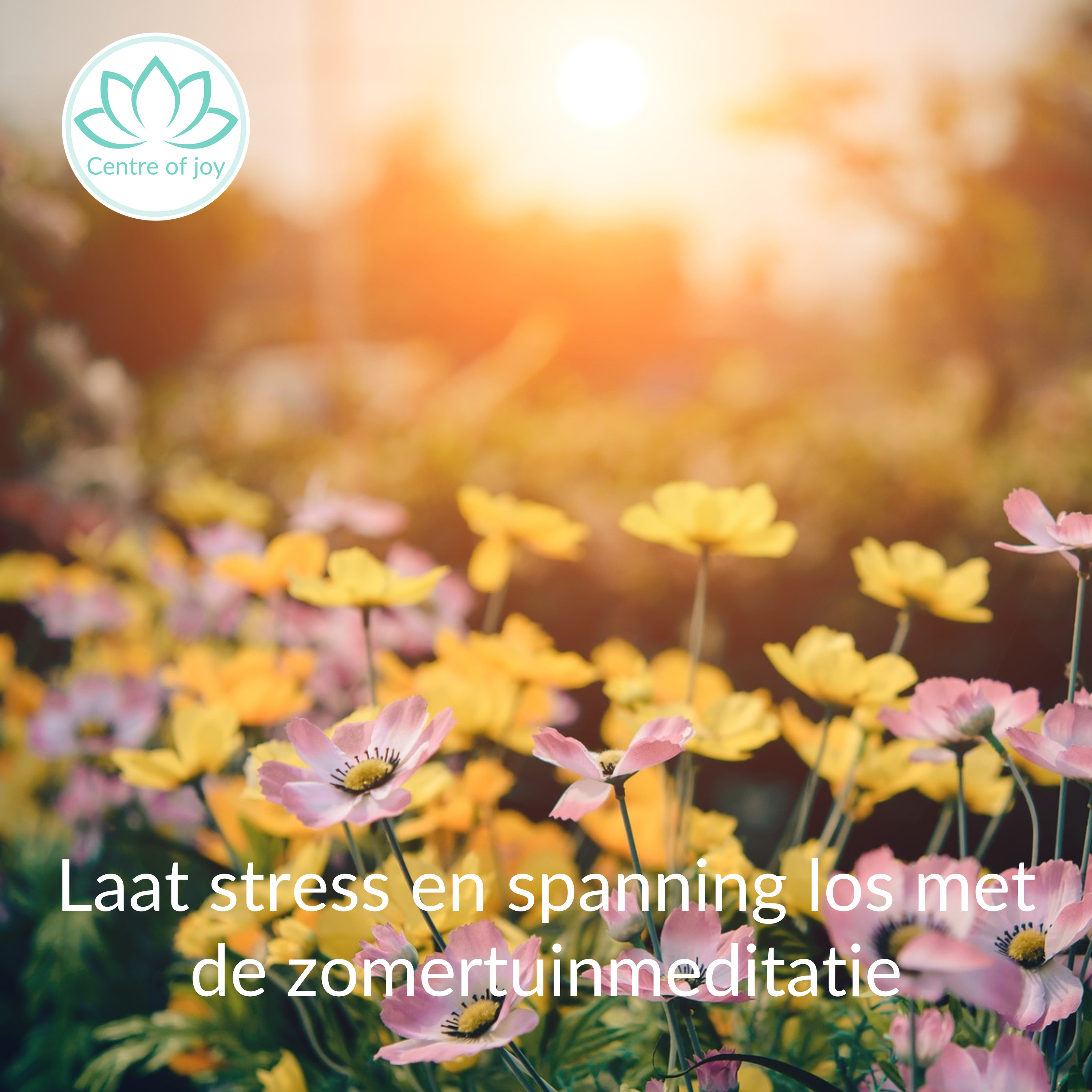 #020 | Laat stress en spanning los met de zomertuinmeditatie episode artwork