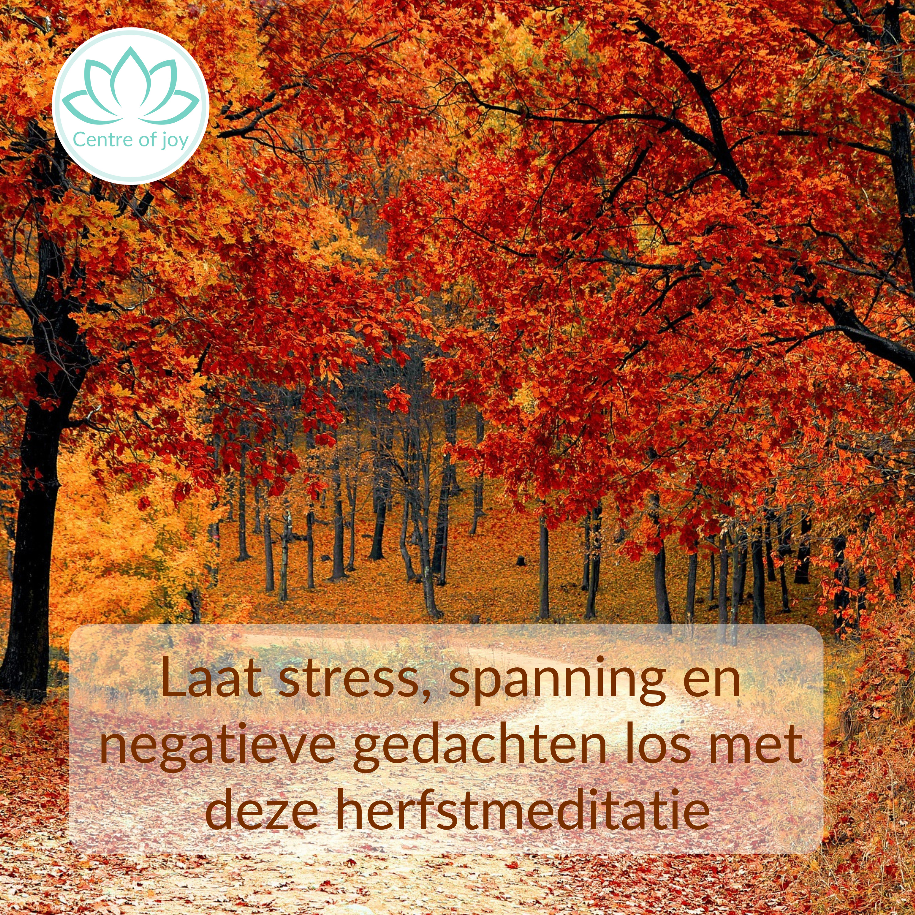 #024 | Laat stress, spanning en negatieve gedachten los met deze herfstmeditatie episode artwork