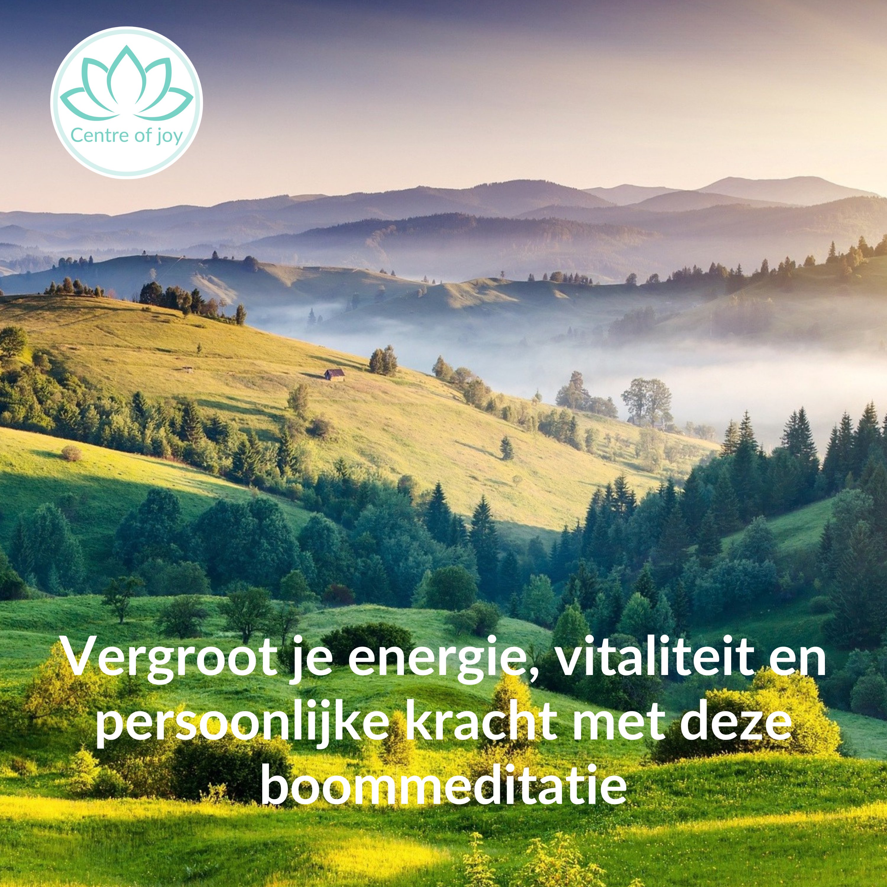 #027 | Vergroot je energie, vitaliteit en persoonlijke kracht met deze boommeditatie episode artwork