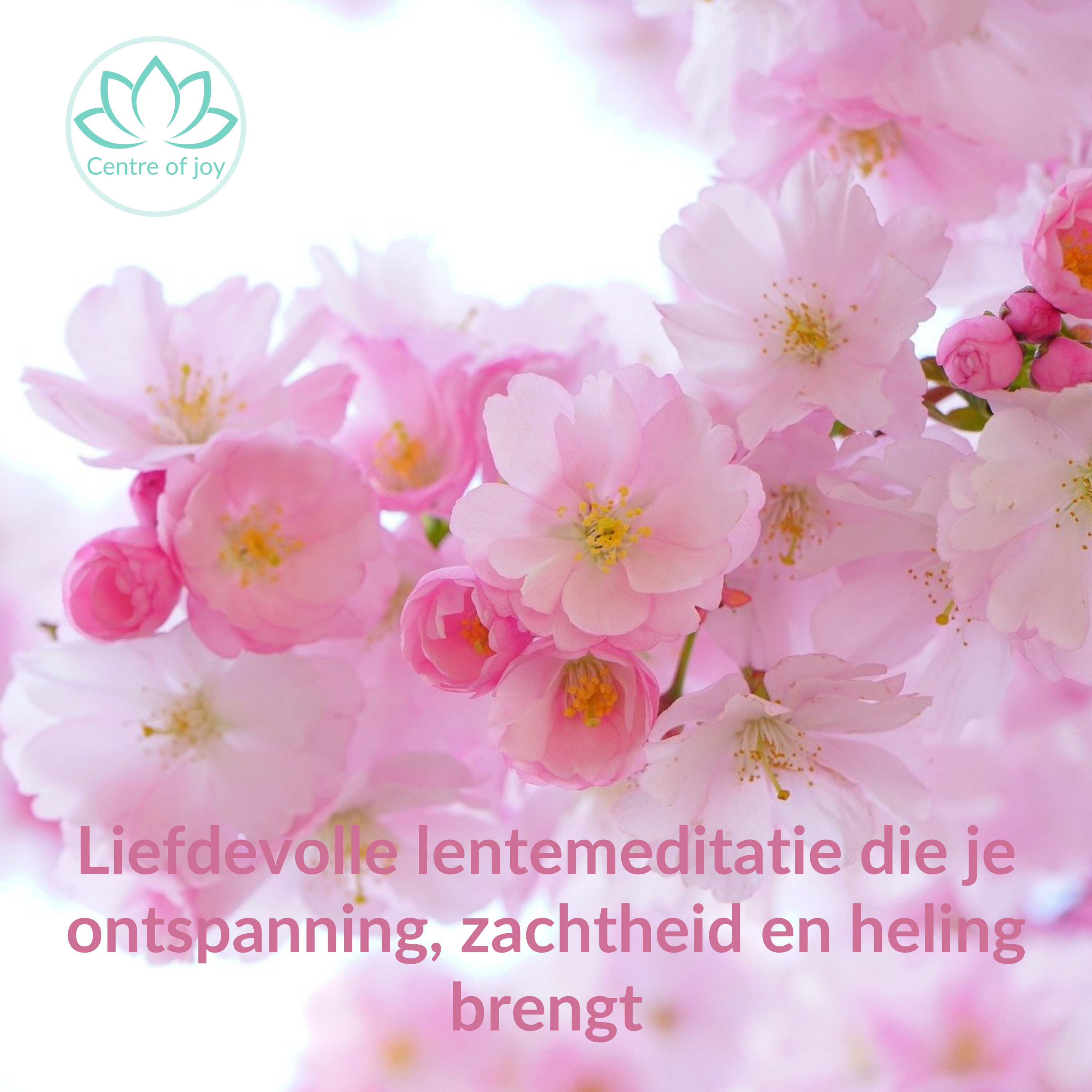 #033 | Liefdevolle lentemeditatie die je zachtheid, ontspanning en heling brengt episode artwork