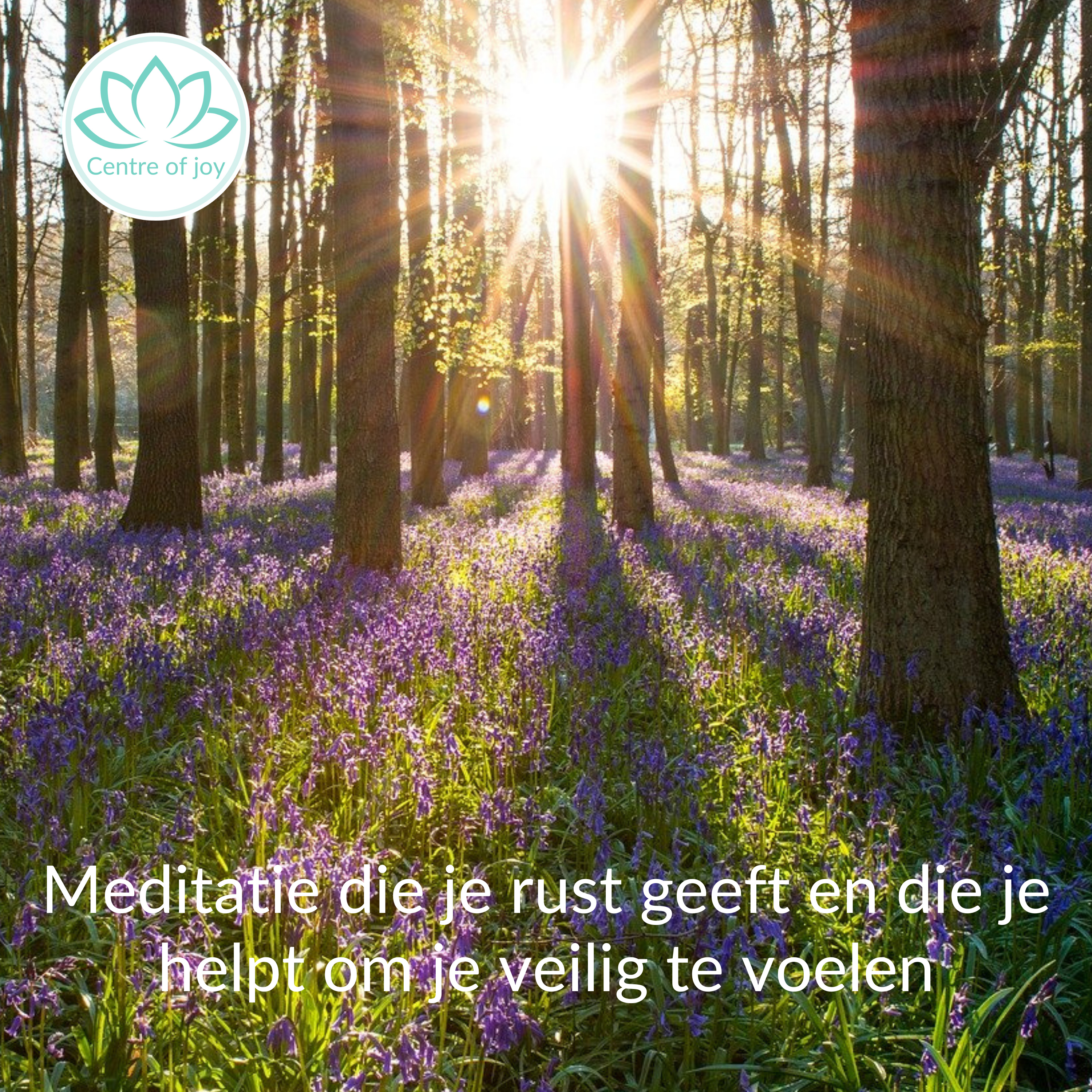 #035 | Meditatie die je rust geeft en je helpt om je veilig te voelen episode artwork