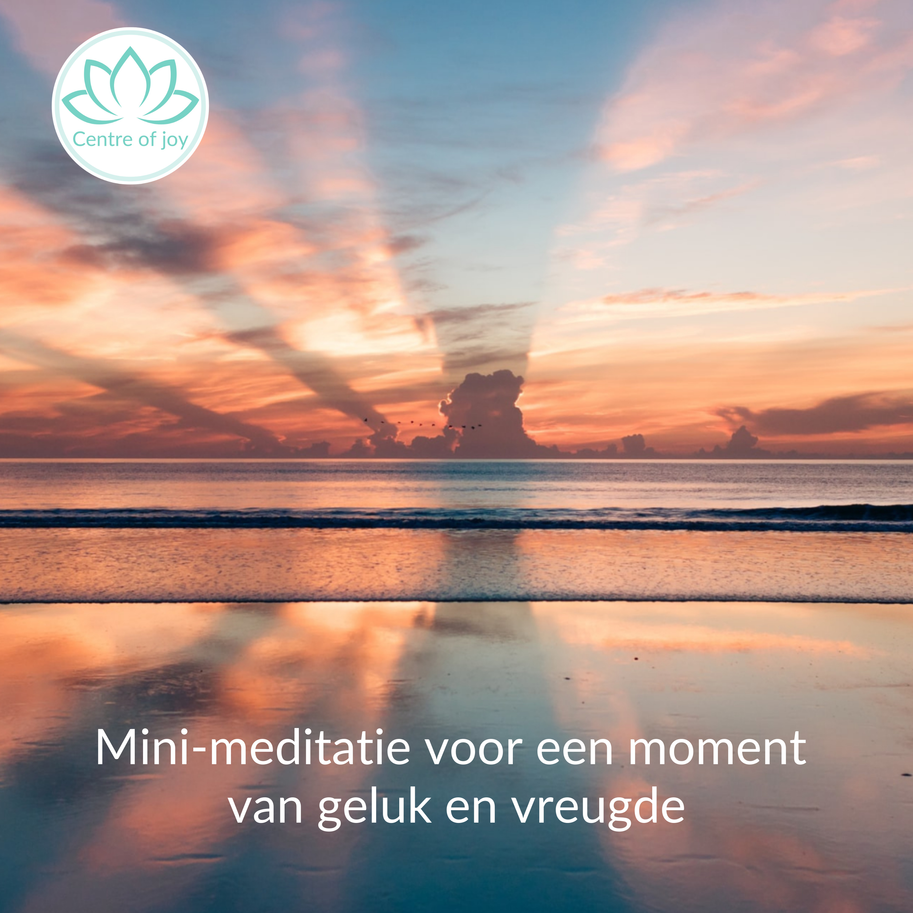#045 | Mini-meditatie voor een moment van geluk en vreugde episode artwork