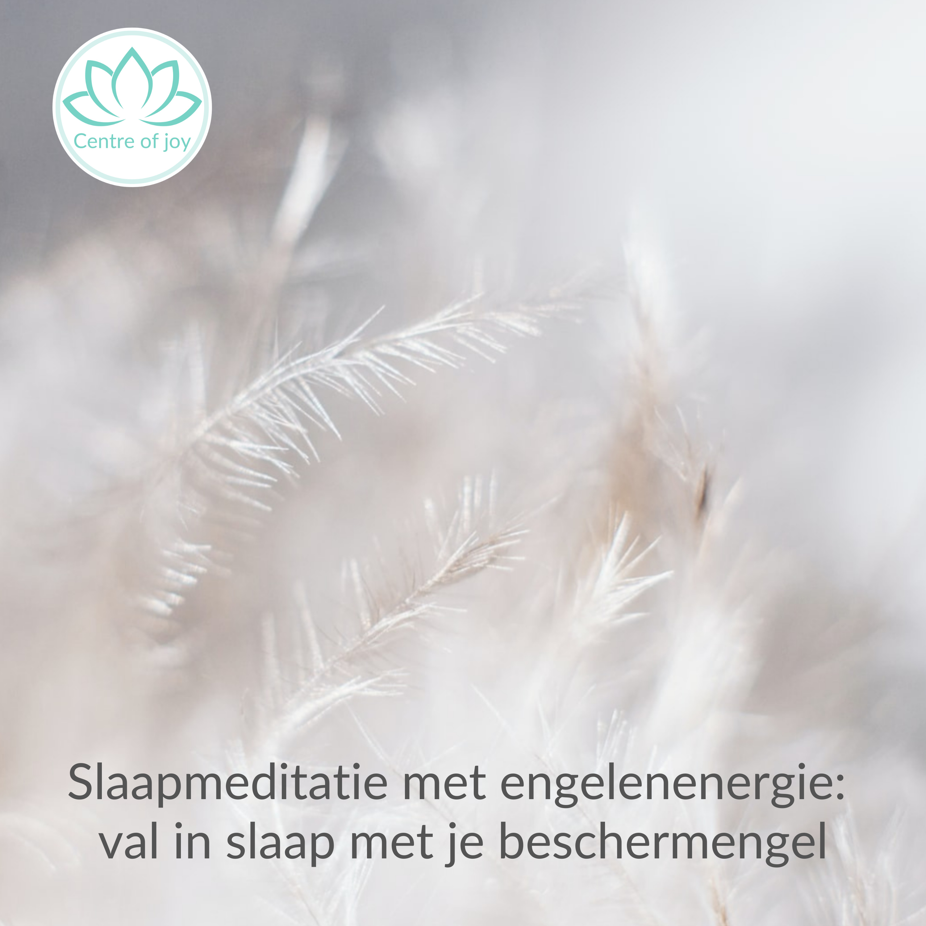 #046 | Slaapmeditatie met engelenenergie; val in slaap met je beschermengel episode artwork