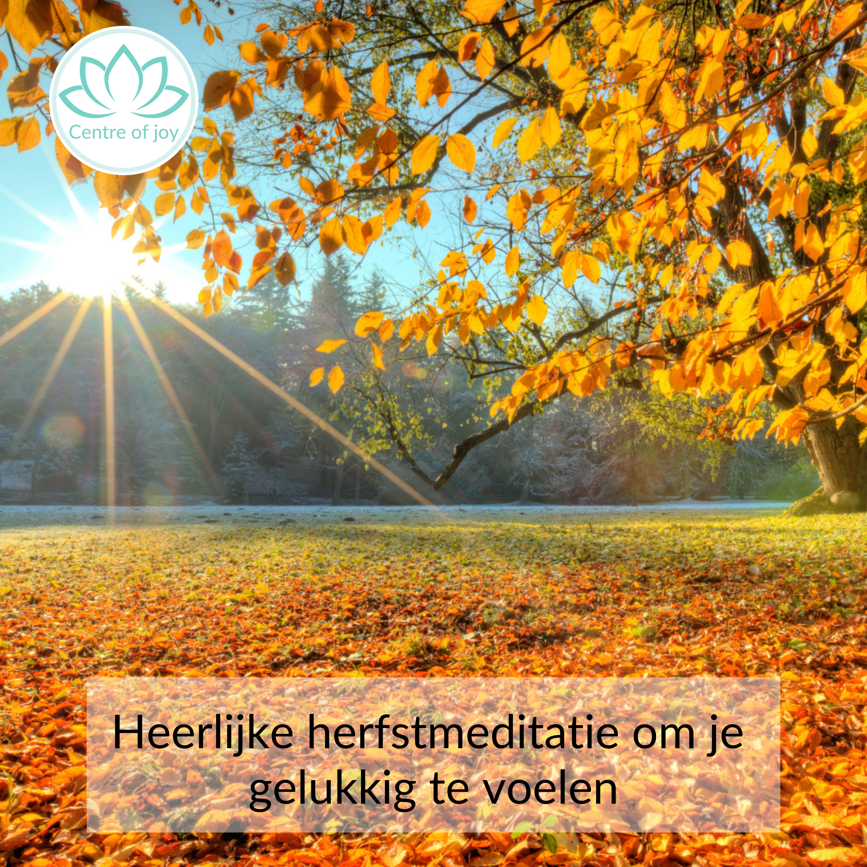 #052 | Heerlijke herfstmeditatie om je gelukkig te voelen
