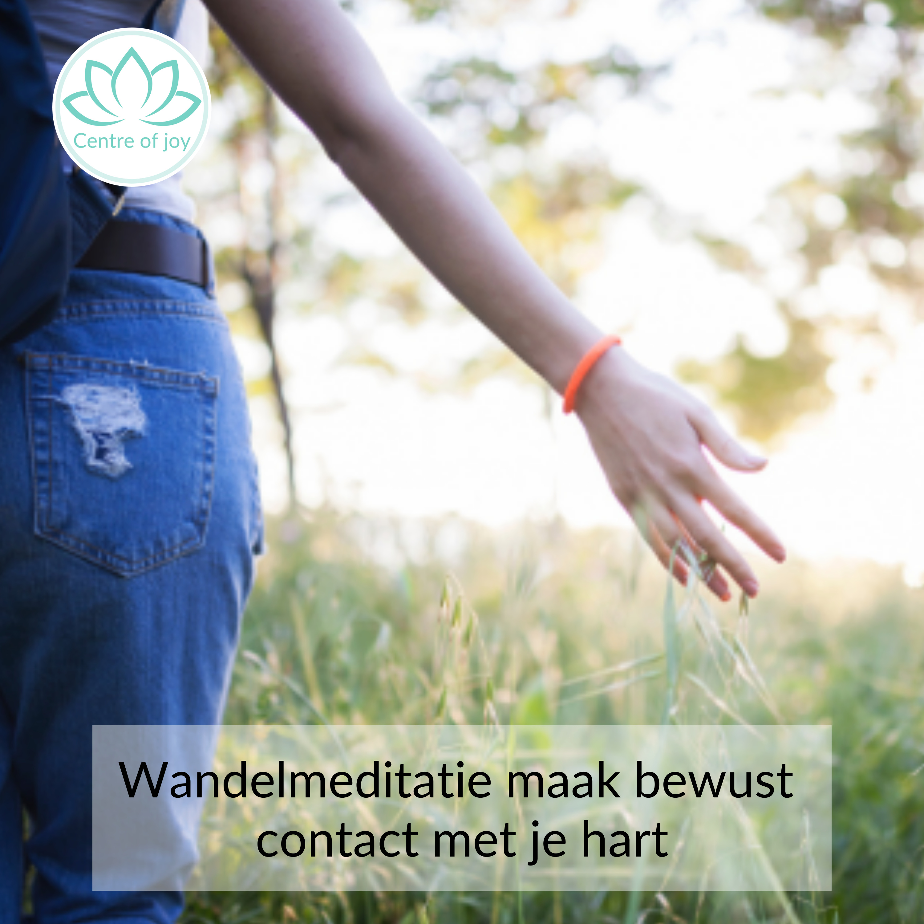 #053 | Wandelmeditatie maak bewust contact met je hart