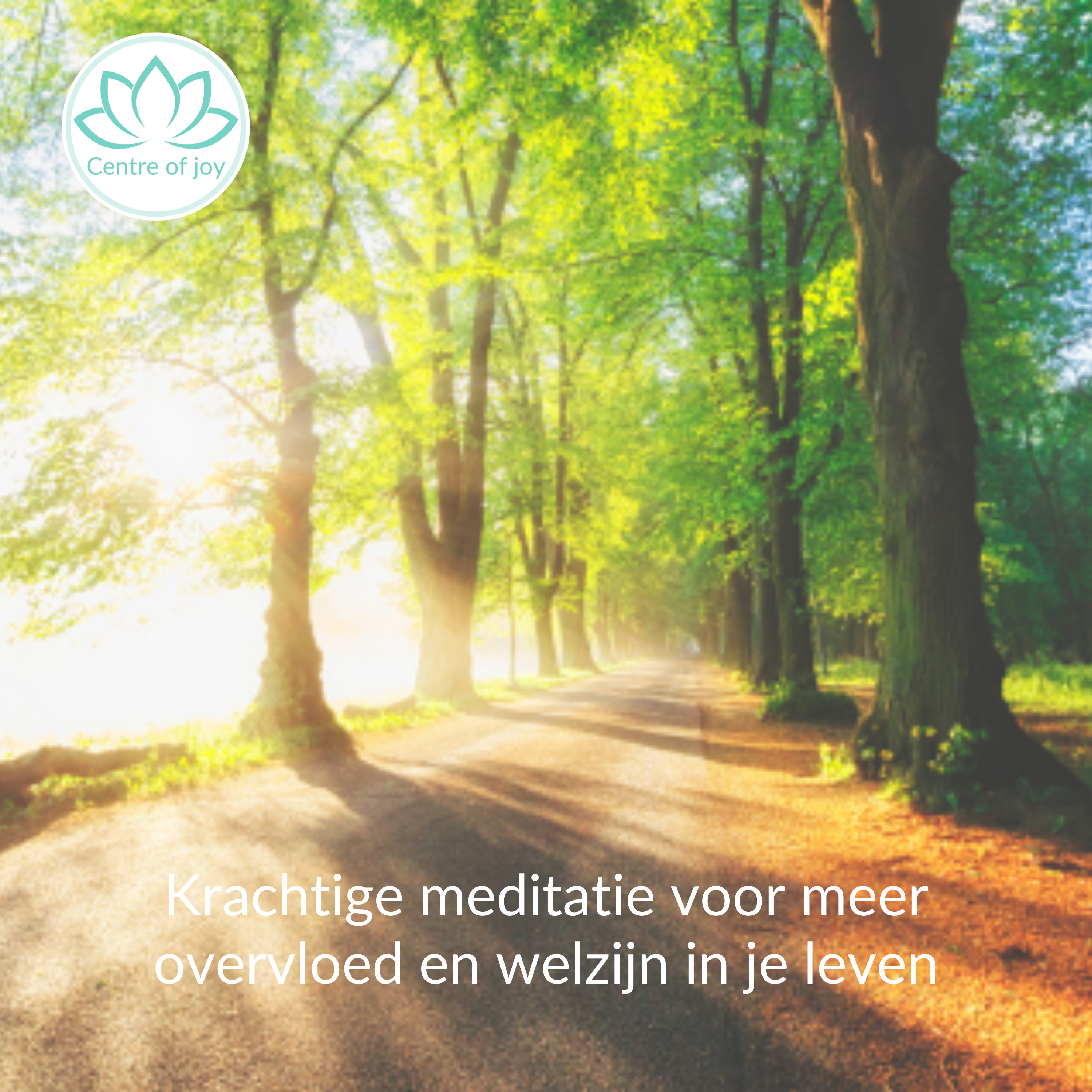 #062 | Krachtige meditatie voor meer overvloed en welzijn in je leven