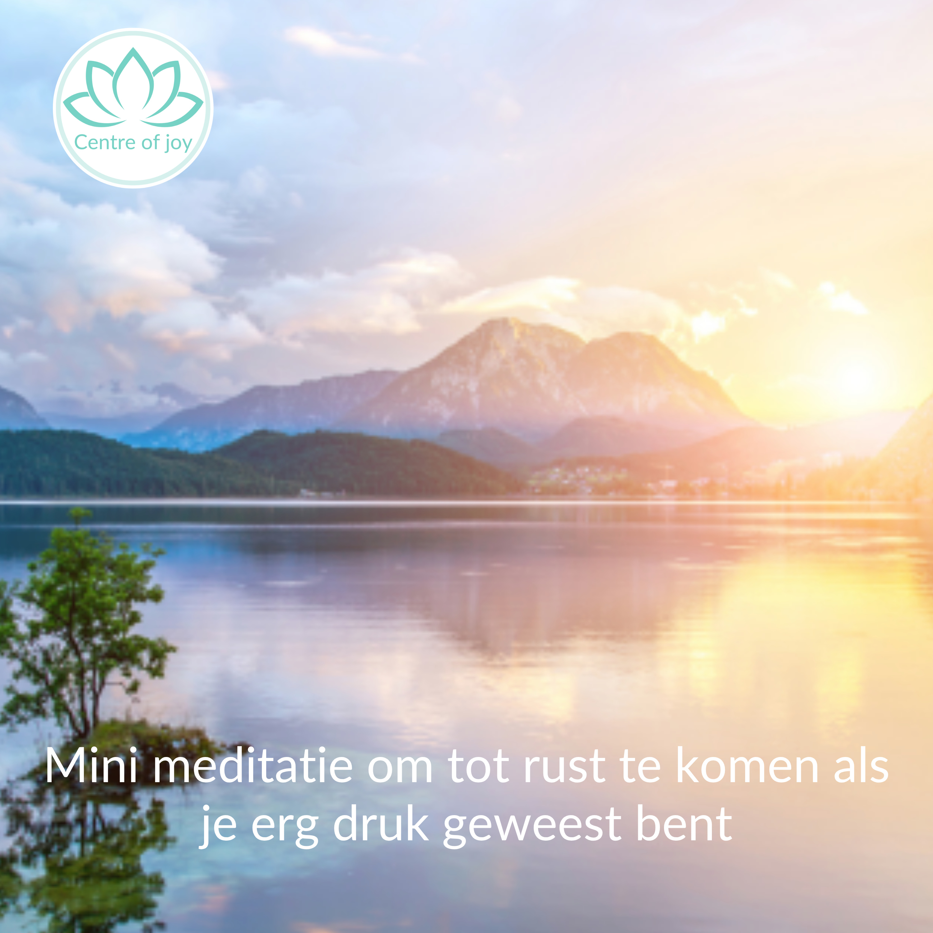 #066 | Mini meditatie om tot rust te komen als je erg druk geweest bent