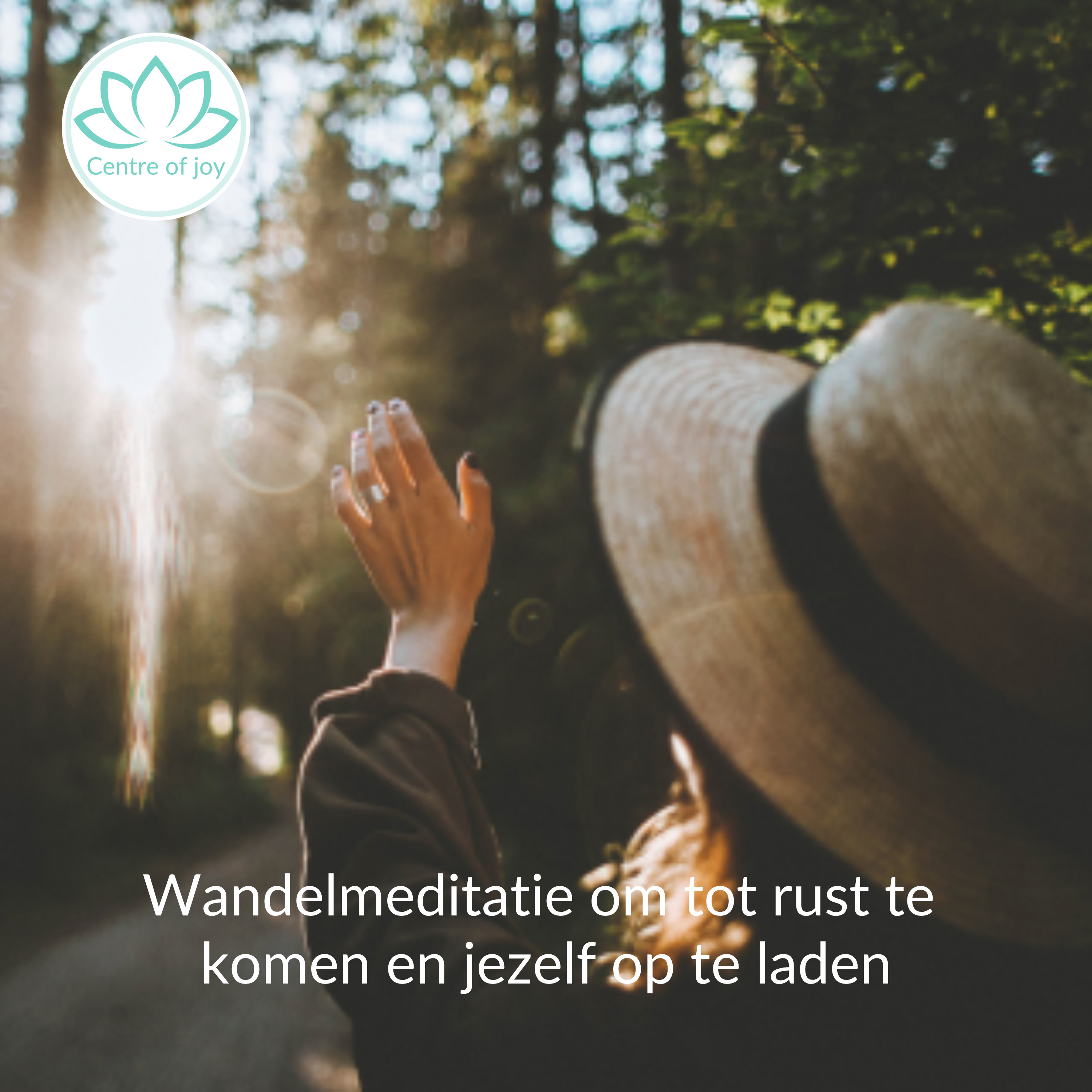 #069 | Wandelmeditatie om tot rust te komen en jezelf op te laden