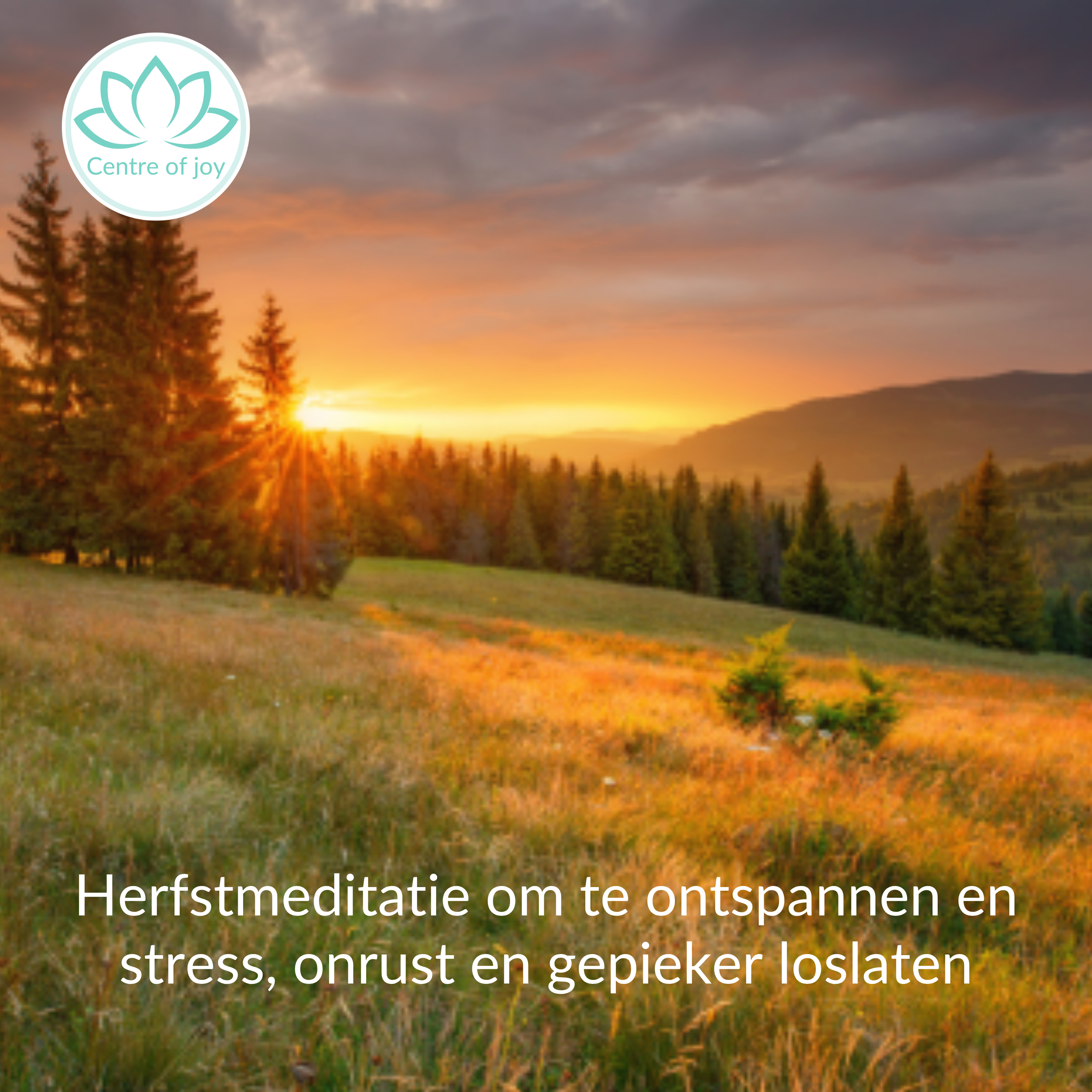 #071 | Herfstmeditatie om te ontspannen en stress, onrust en spanning los te laten